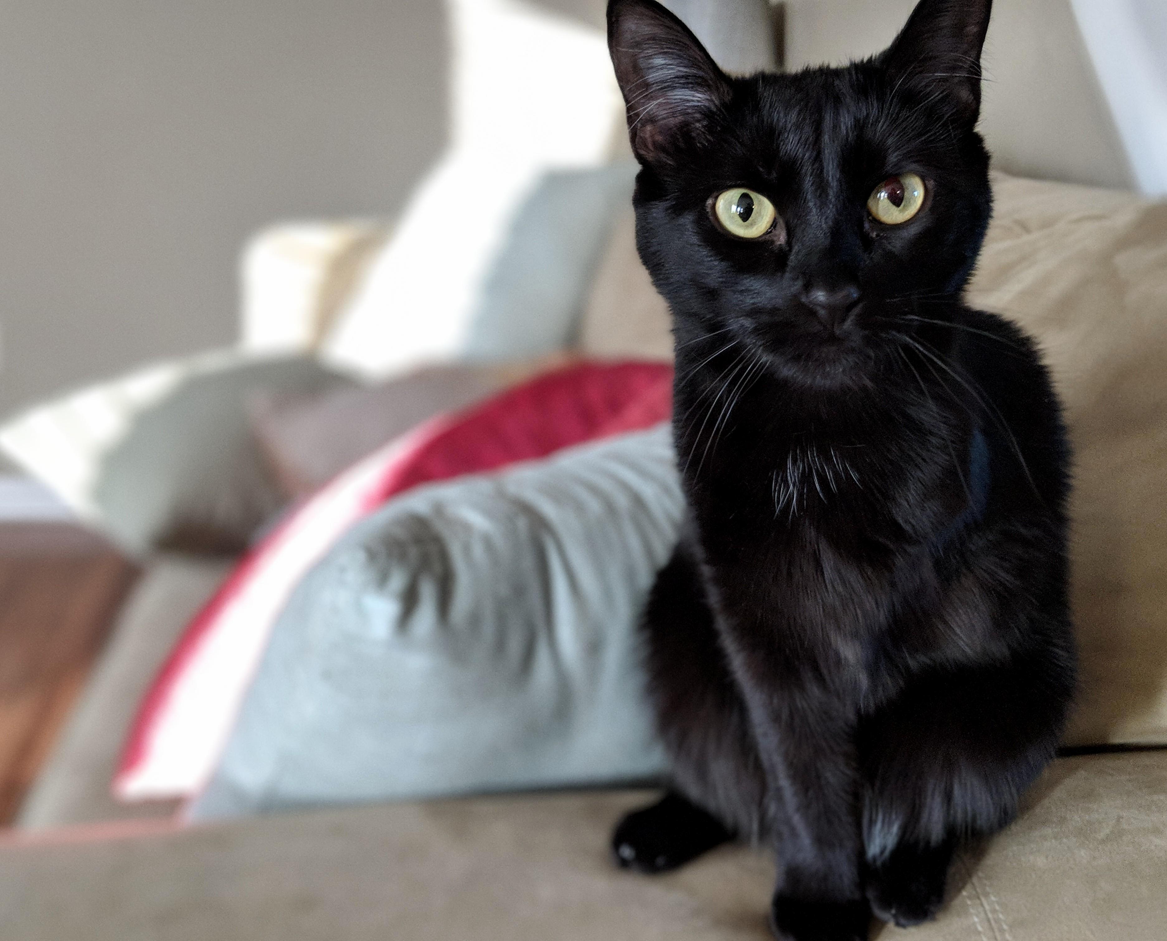 Her Name Is Toothless!