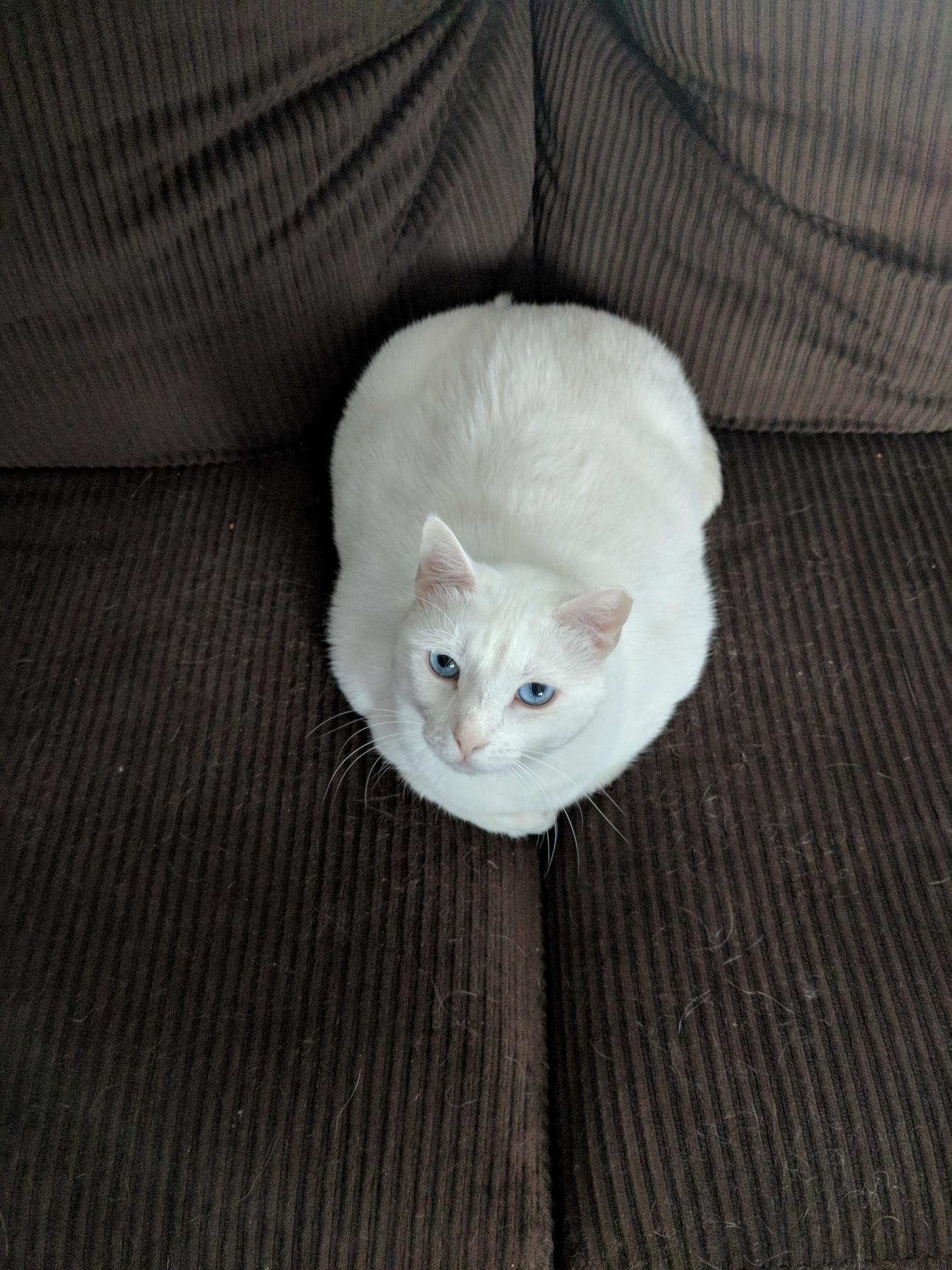 Hes So Round.