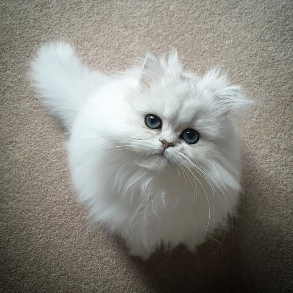 Hey Mama! Take a Photo of Me! This Is My Good Angle.