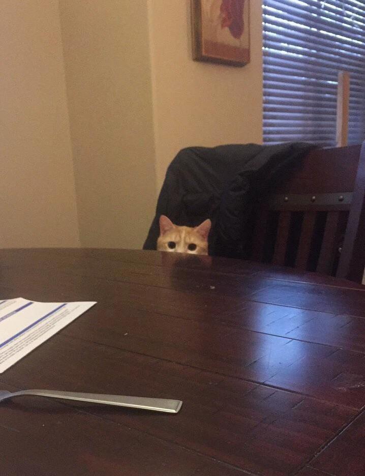 Hey...errr... Whatcha Eating