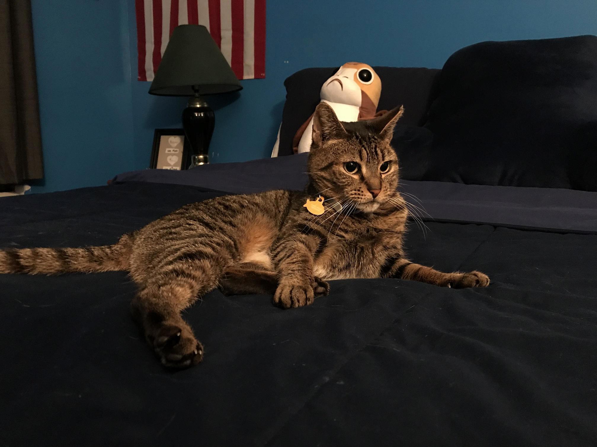 How She Waits for Me to Get Home from Work
