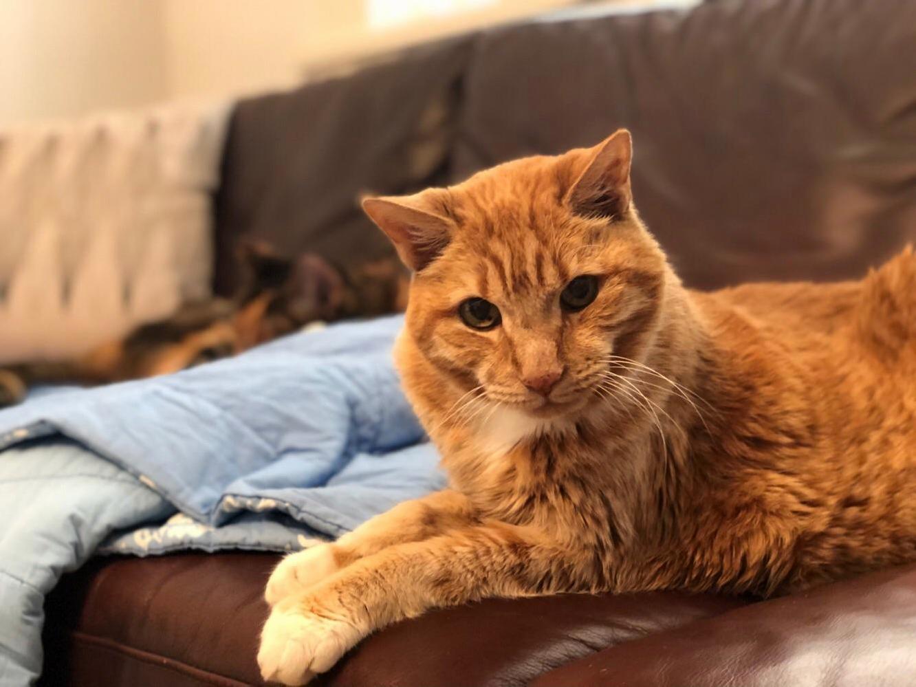 Hugo & Wilma