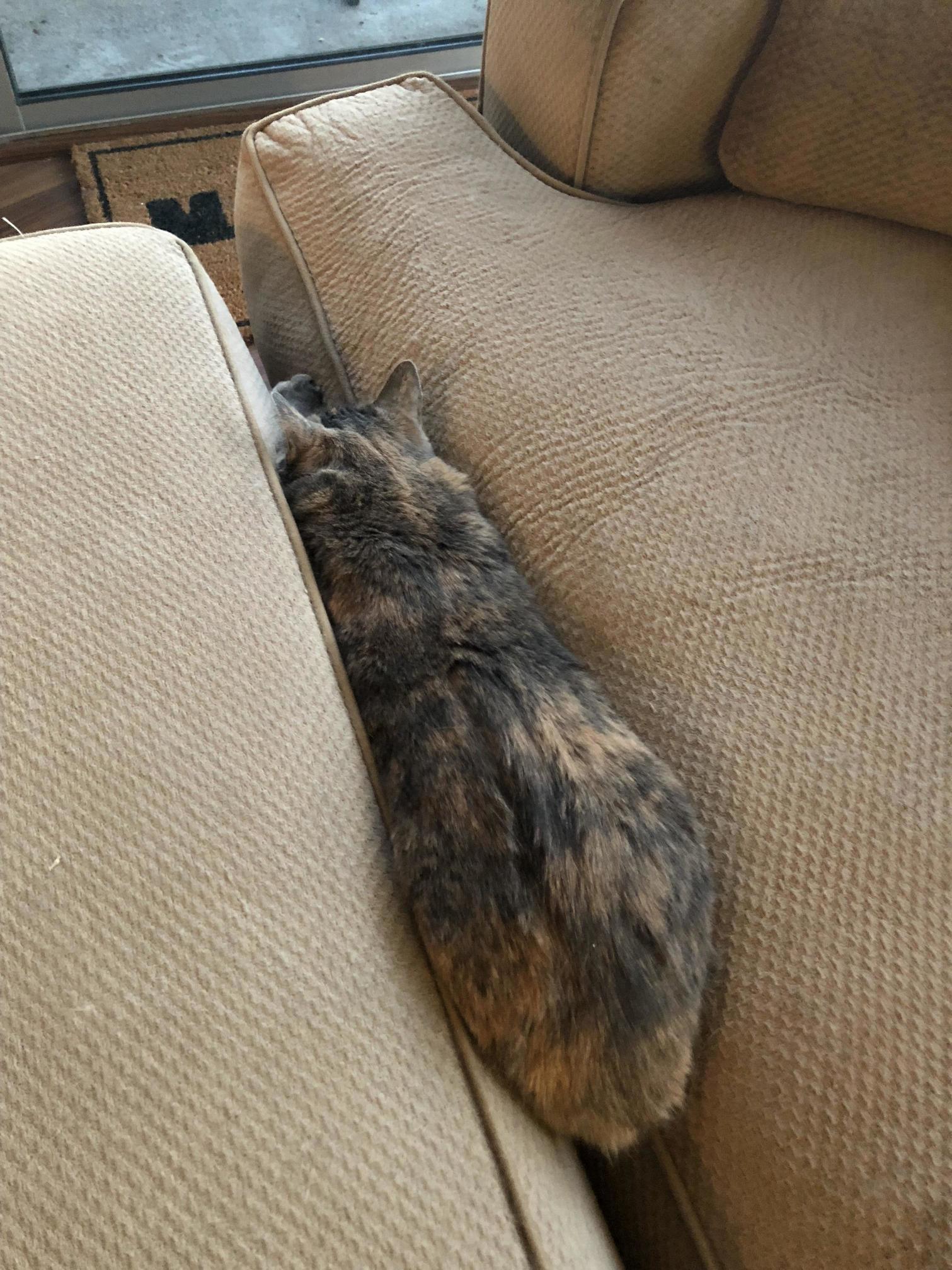 I Am One with the Couch and the Couch Is with Me