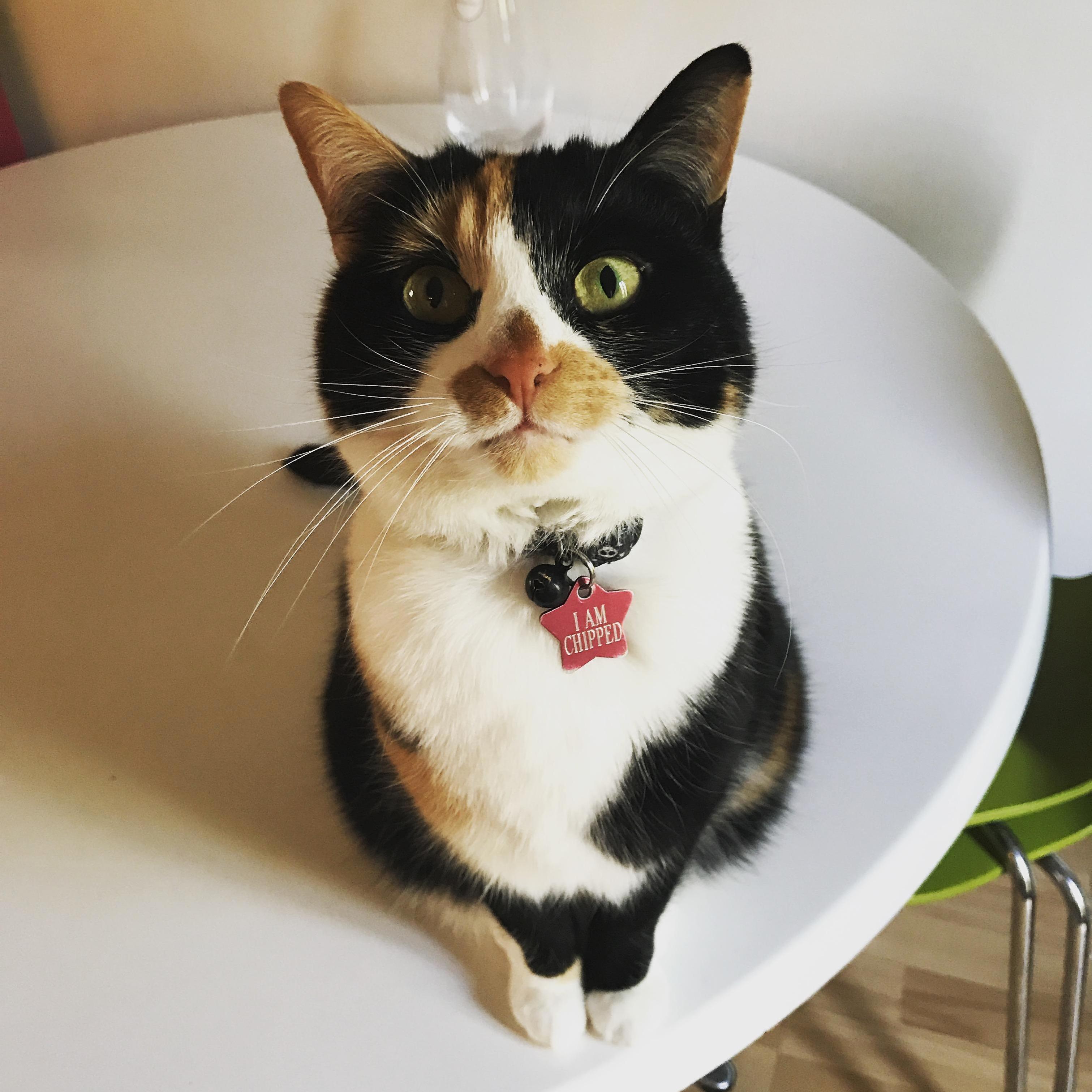 I Know Im Biased but I Think Shes Beautiful