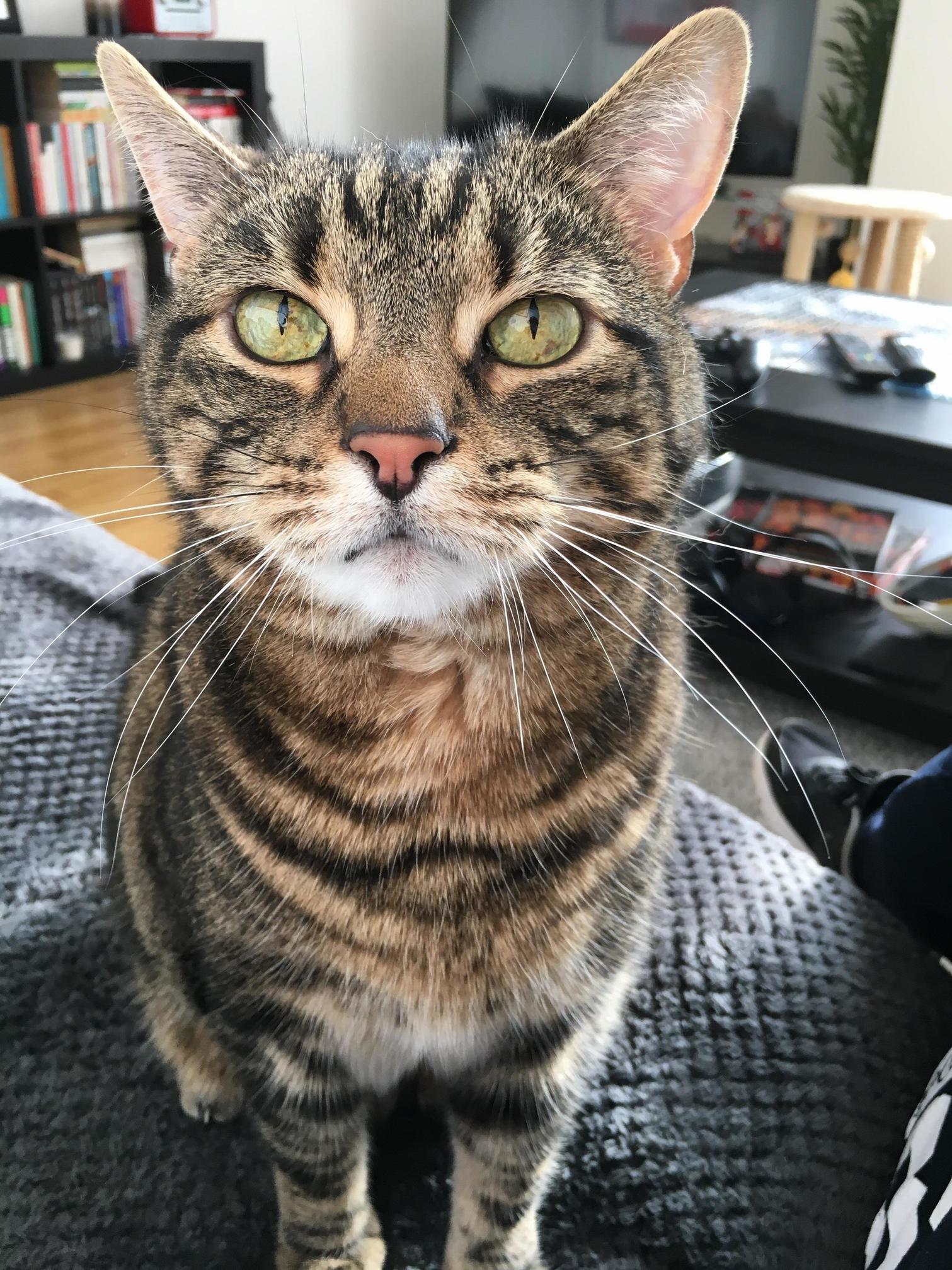 I Love This Guy More Than I Care to Admit - Oscar