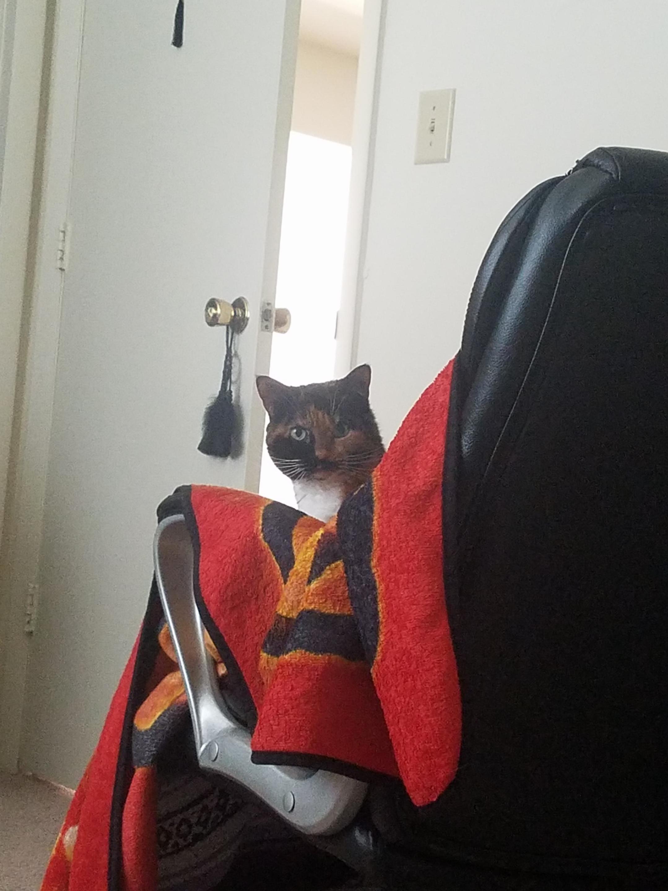 If I Even Twitch in Bed She Does This.