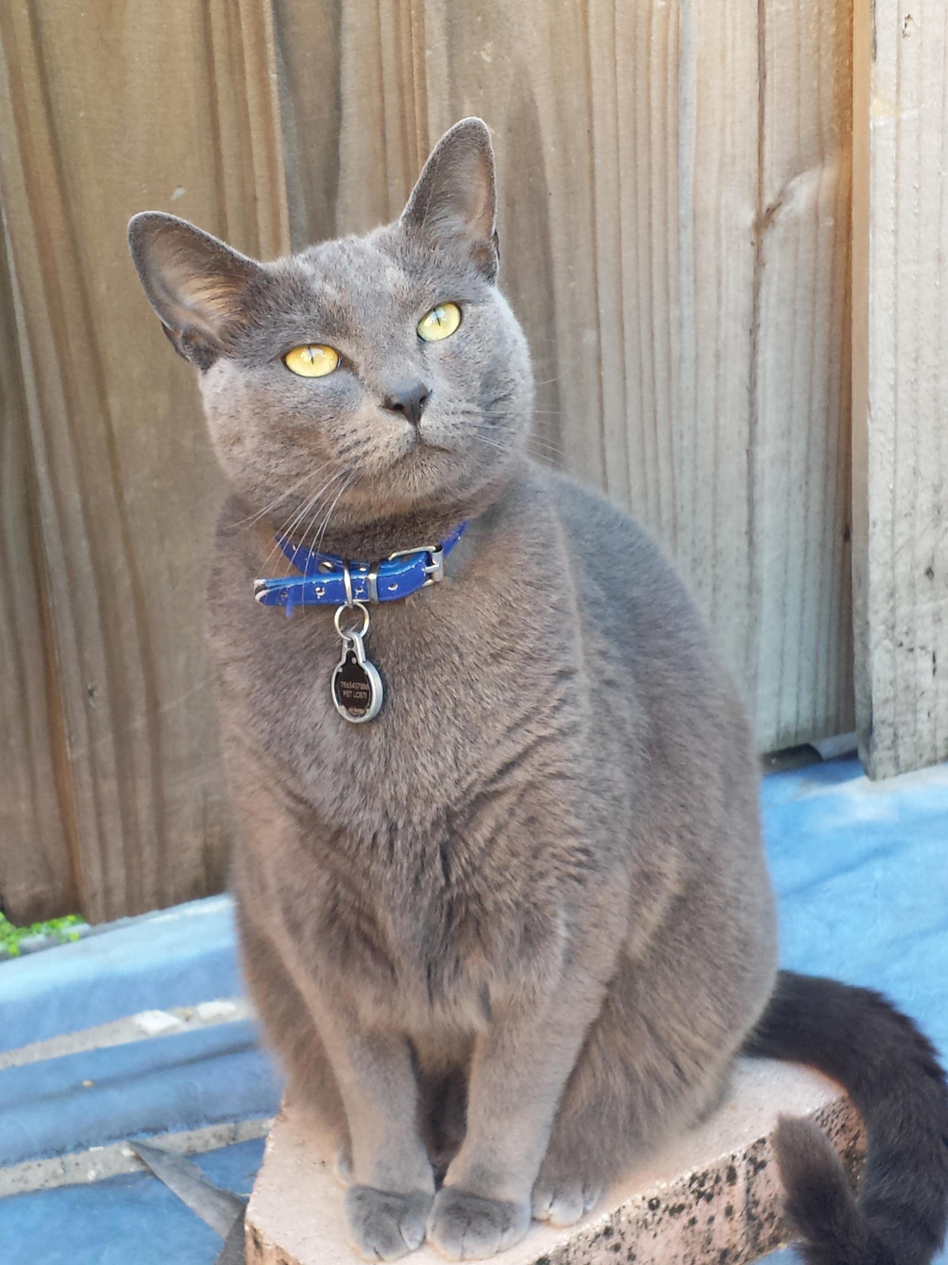 If You Are Going to Take My Picture, Let Me Look Mysterious and Stuff Ya Know...