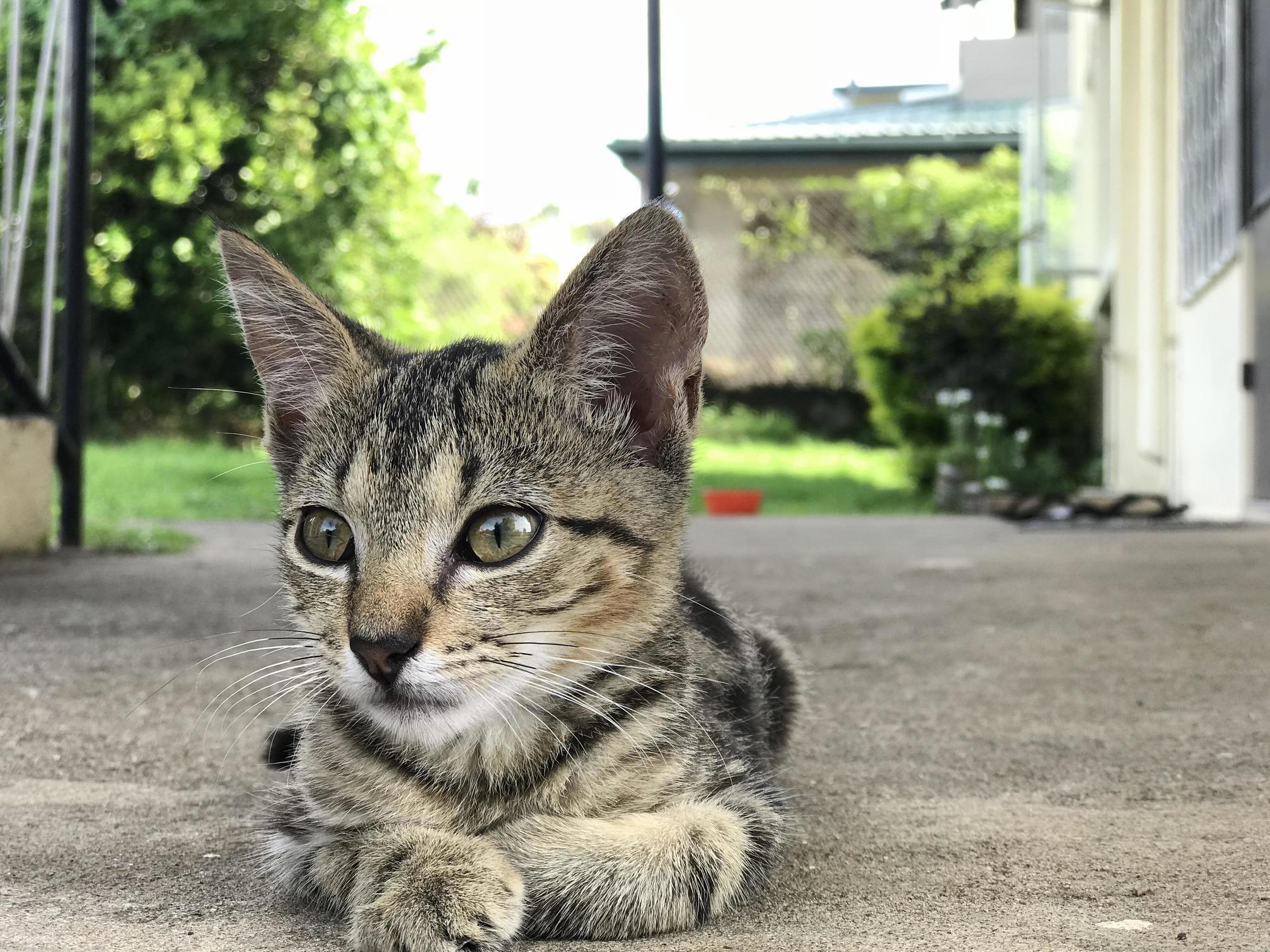 Isnt She a Model