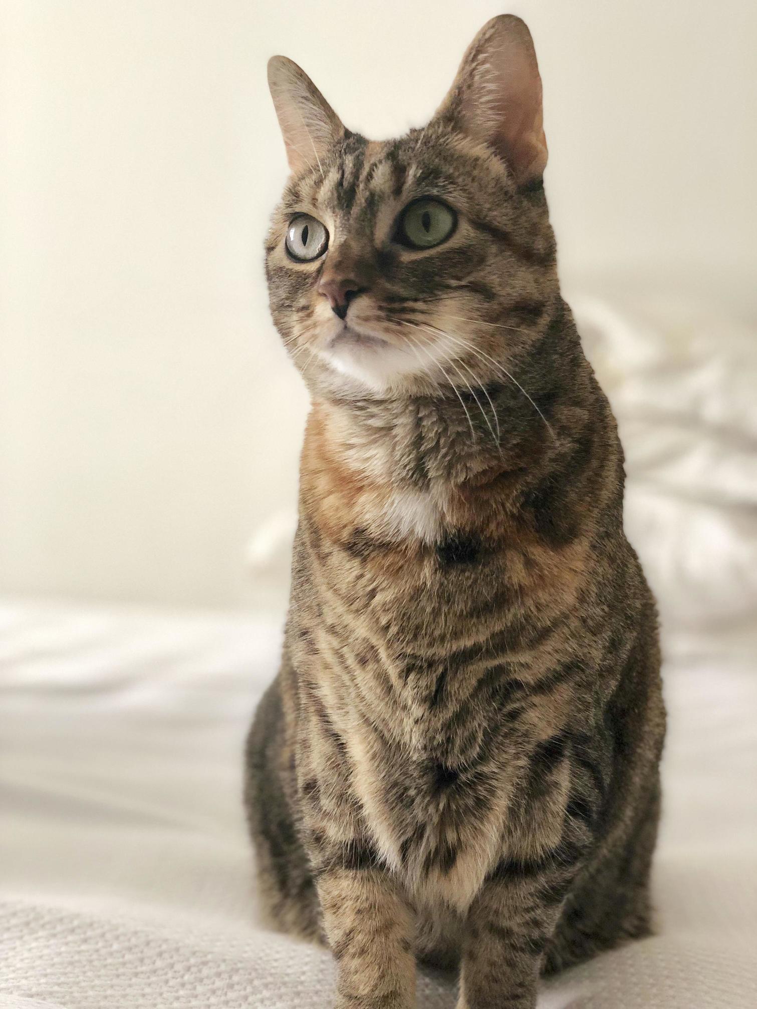 Isnt She Just Beautiful