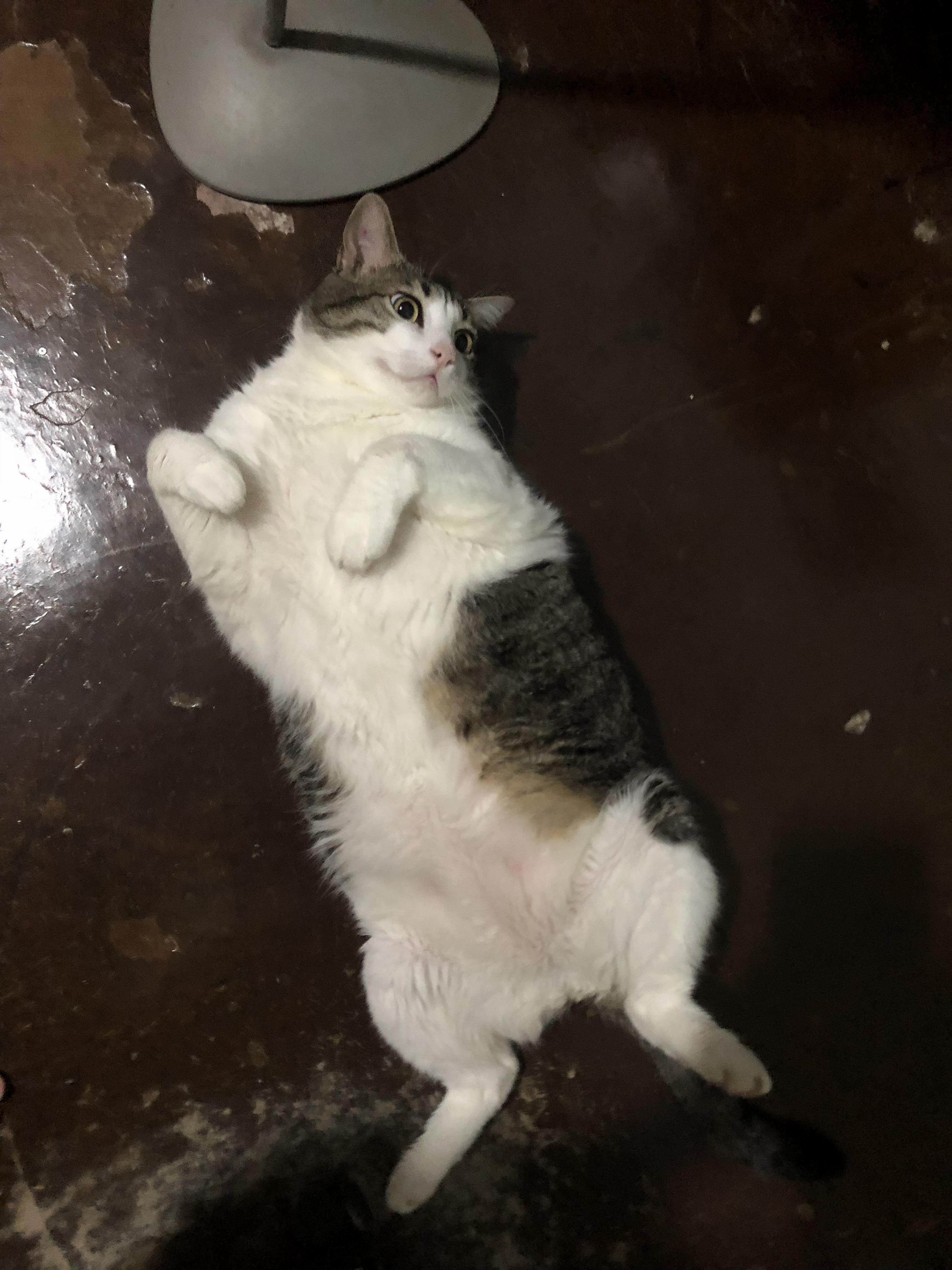 It Is a Trap. a Deadly One.