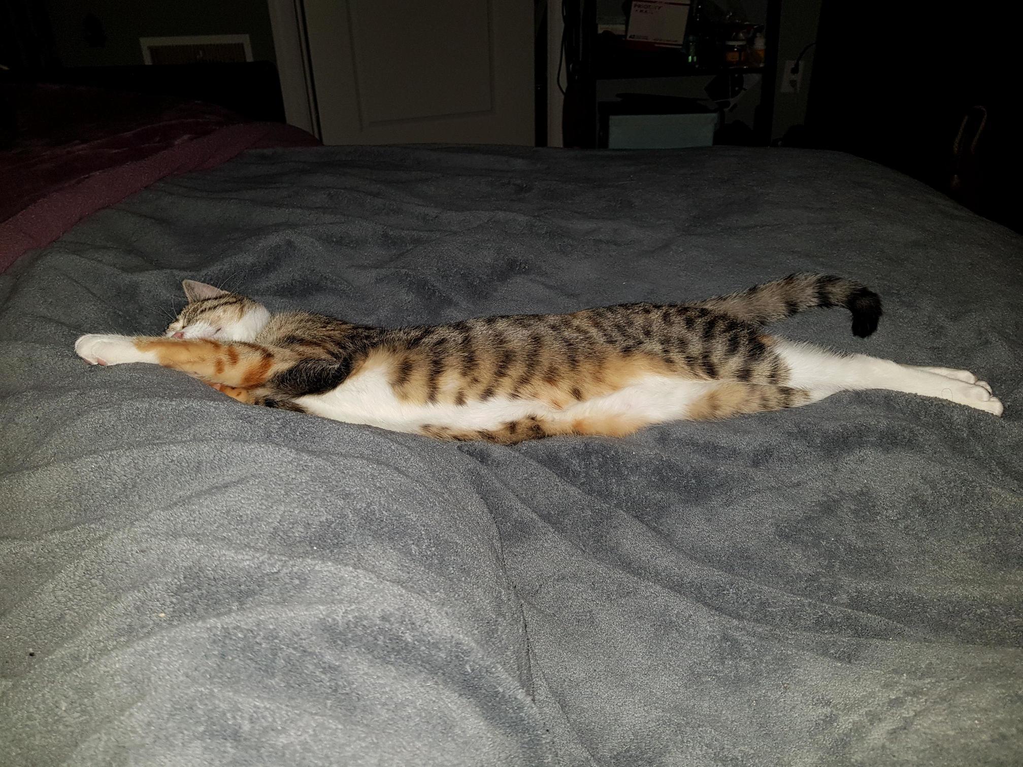 Its Not Like I Needed to Lie Down or Anything