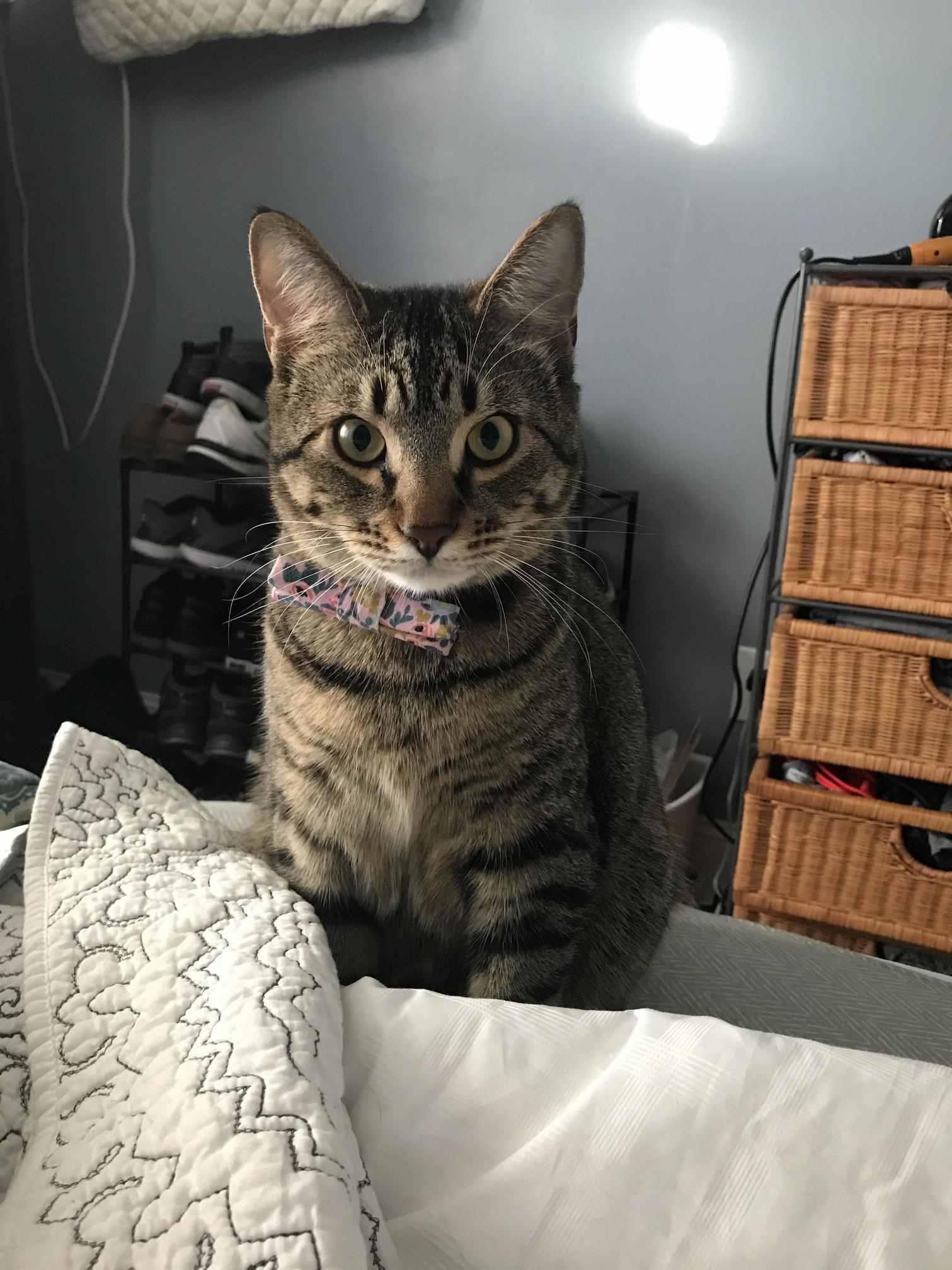 Its This Handsome Mans First Birthday. Hbd Carl.