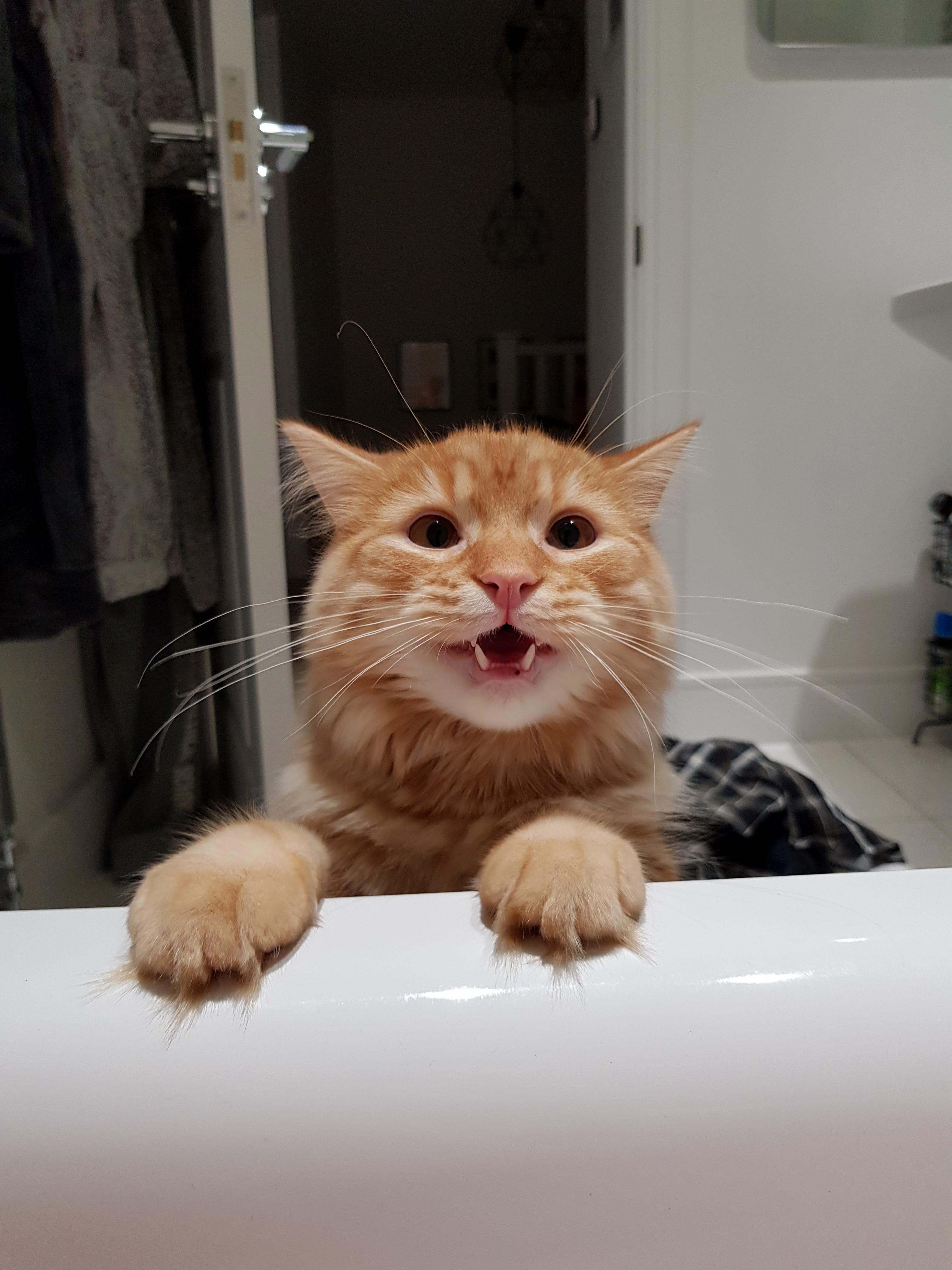 Ive Been in the Bath Too Long Apparently...