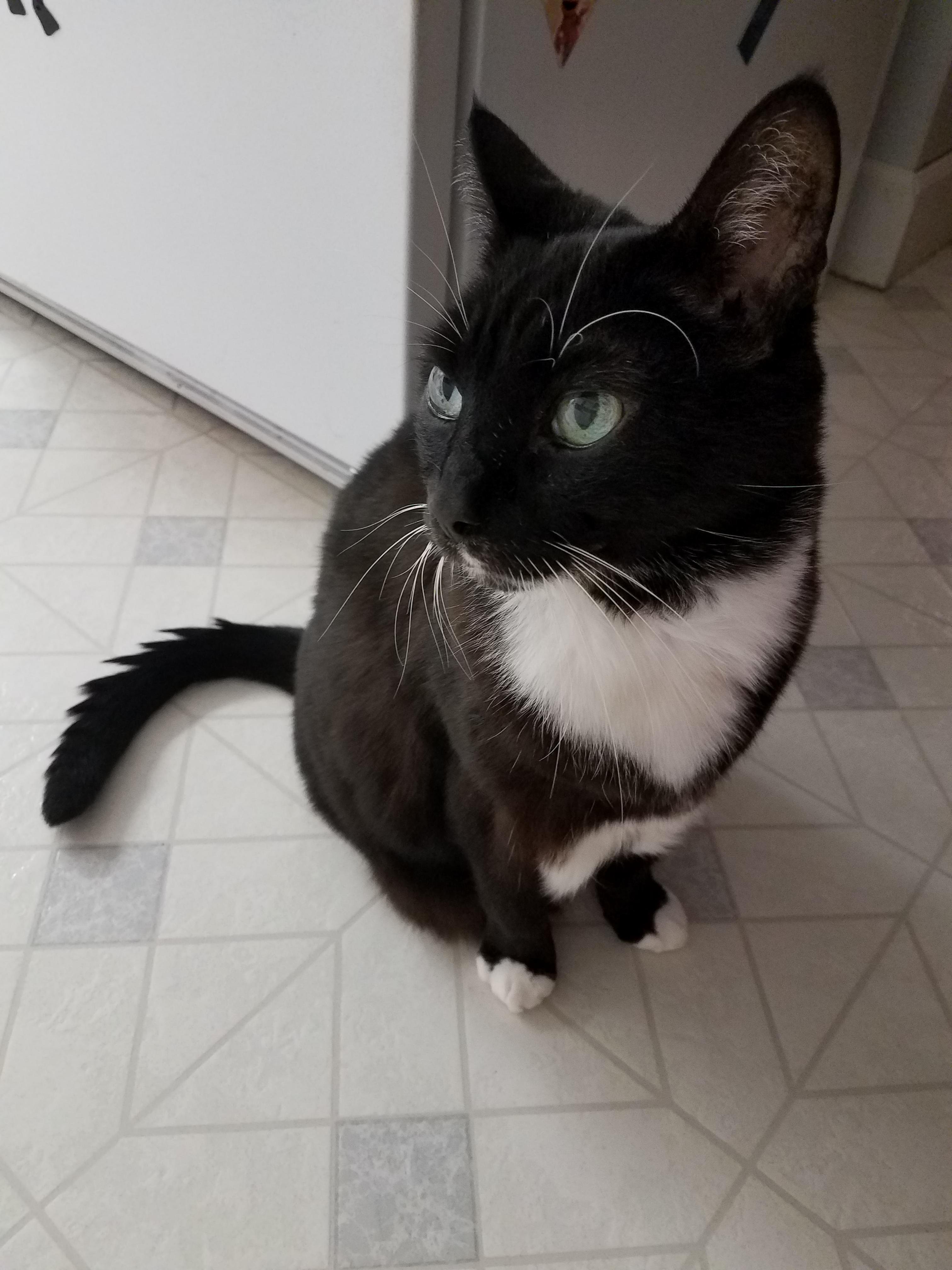 Just Found Out My Old Guys Kidneys Are Failing and He Doesnt Have Much Time. I Grew Up with Him. Theres a Hole in My Heart Already.
