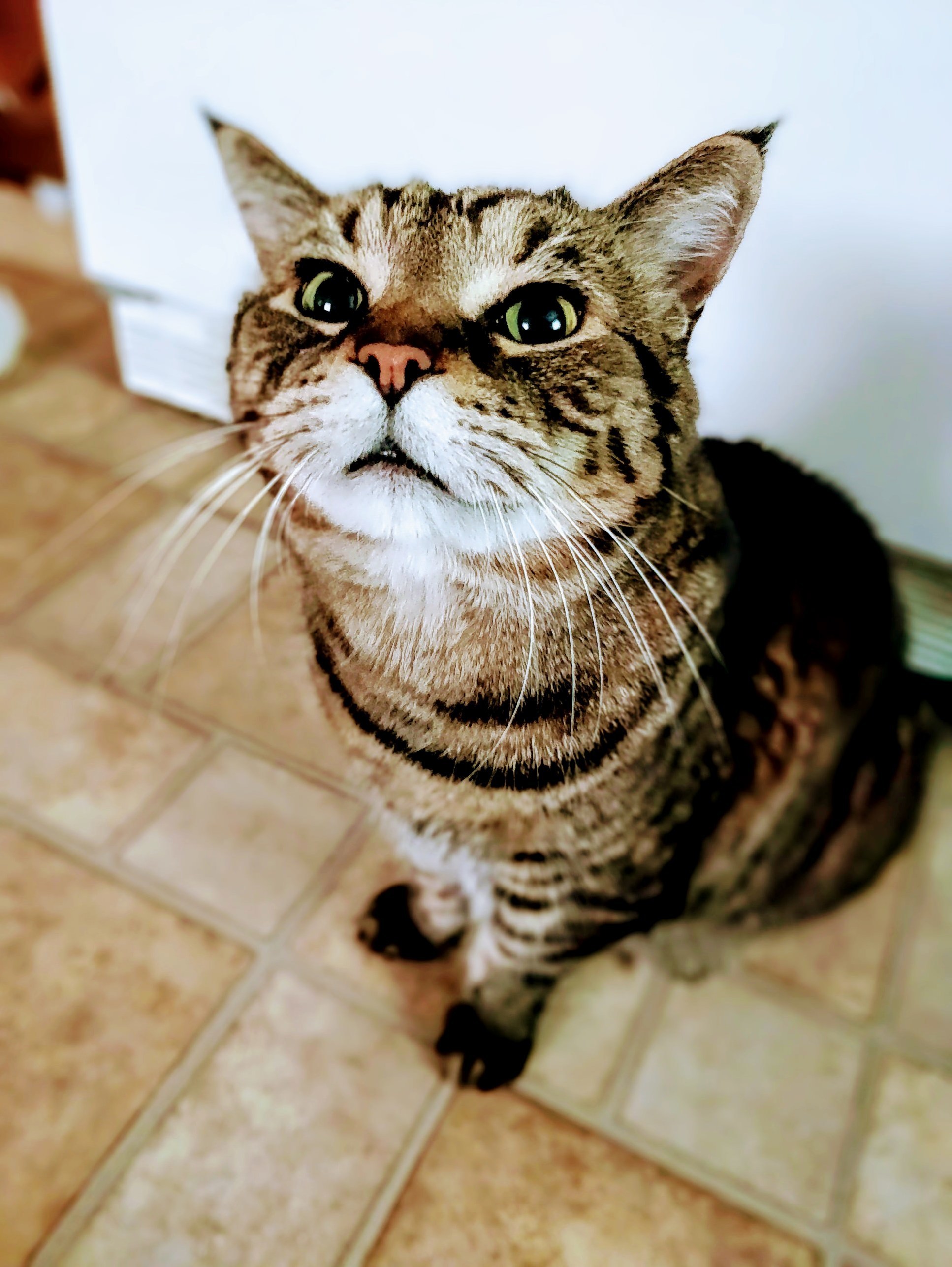 Just Guess What This Look Is For..