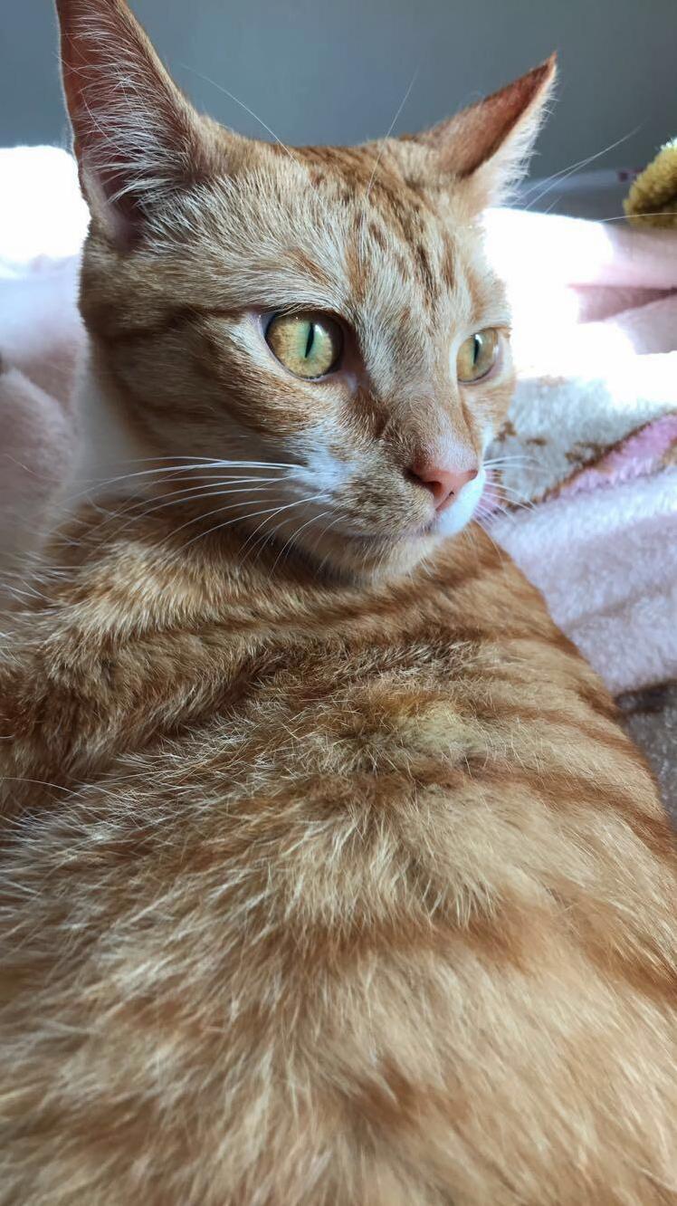 Just Look at Them Eyes!
