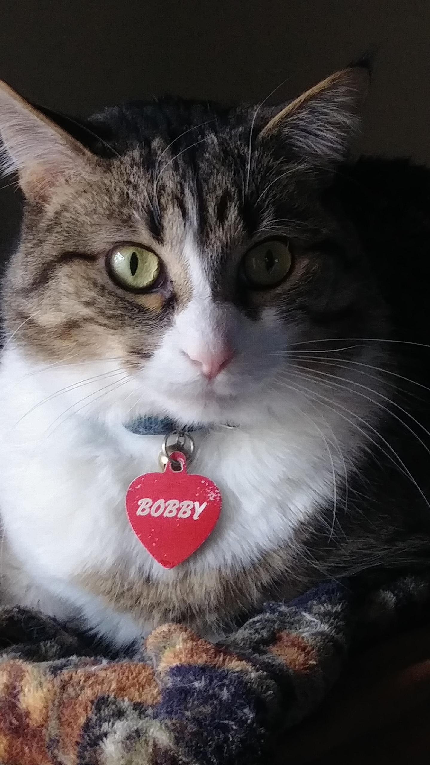 Just...bob.