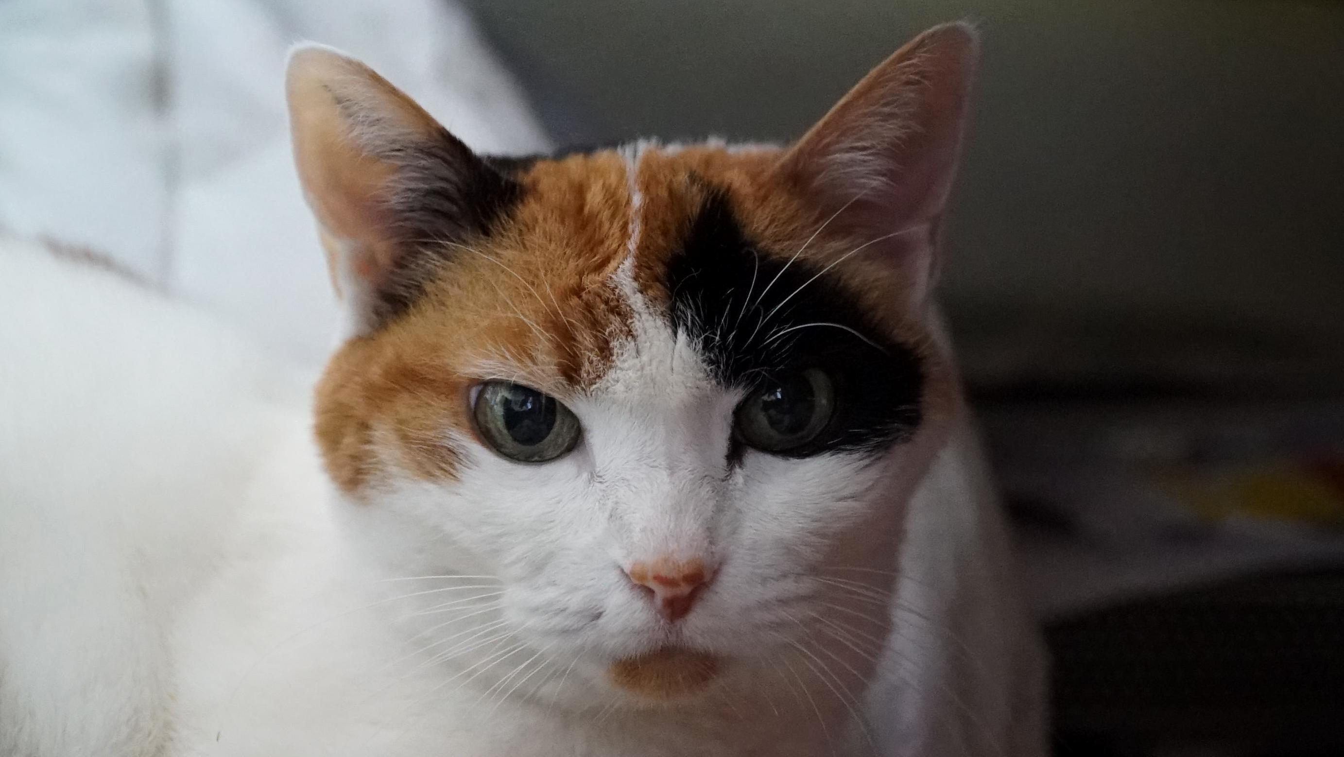 Look at These Amazing Deep Eyes! 3