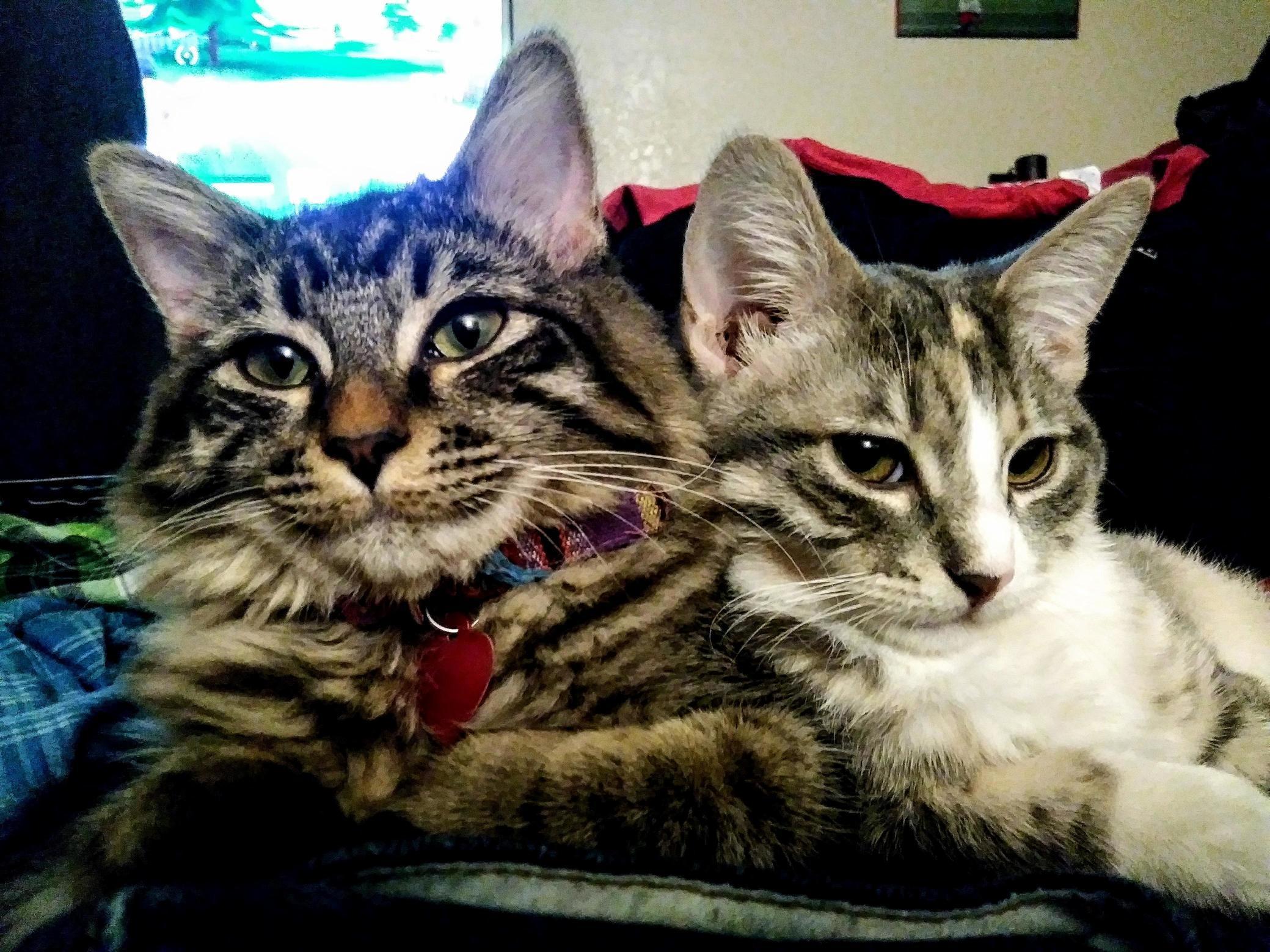 Look at These Cuties!!