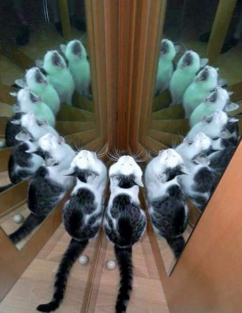Magic