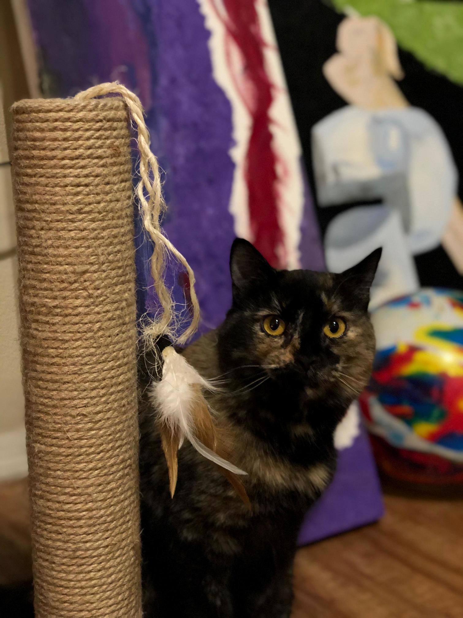 Meet Soap Mactavish (Shot on Iphone X)