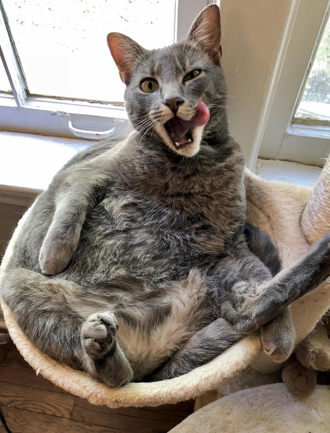 Must Be Some Real Tasty Belly Fluff