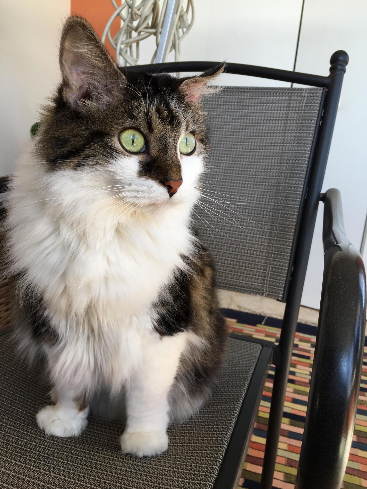 My Beautiful Boy Jeffry