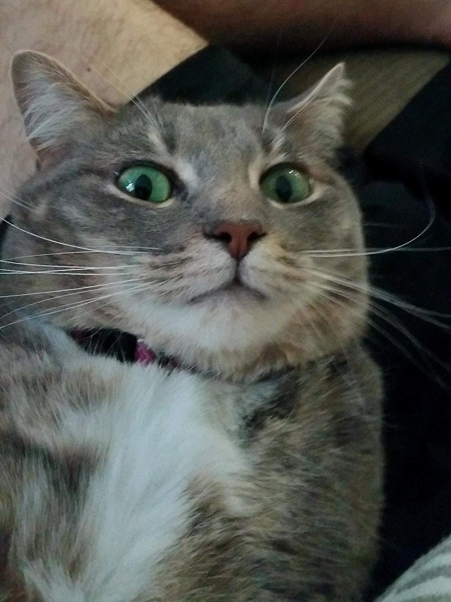My Beautiful Mae