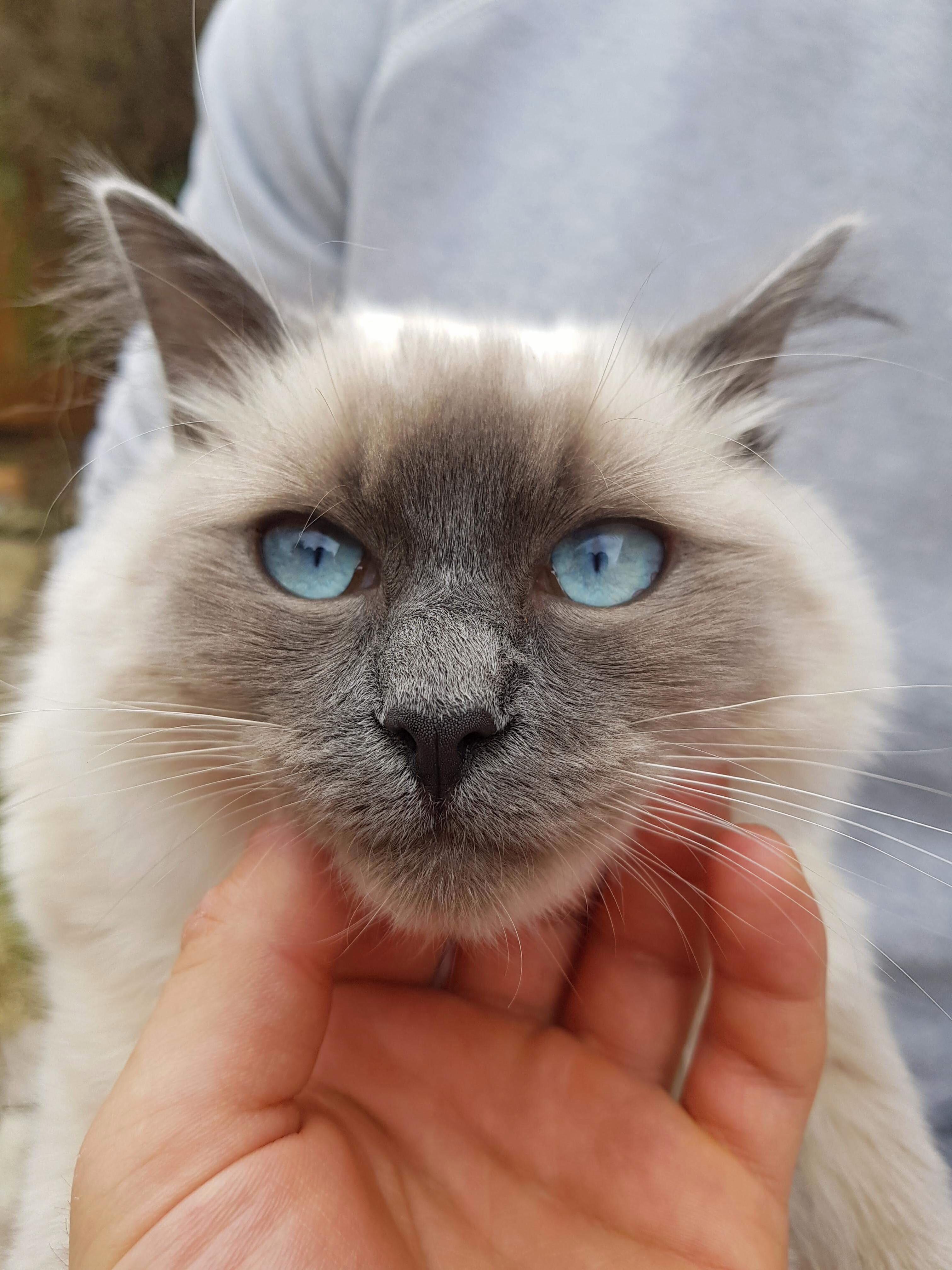My Bibi and Her Ocean Colour Eyes.