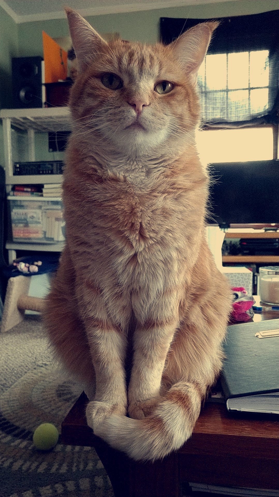 My Boy Charlie