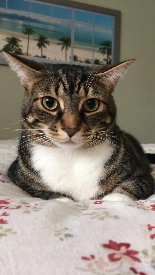 My Buddy of 3 Years Max (Short for Mad Max)