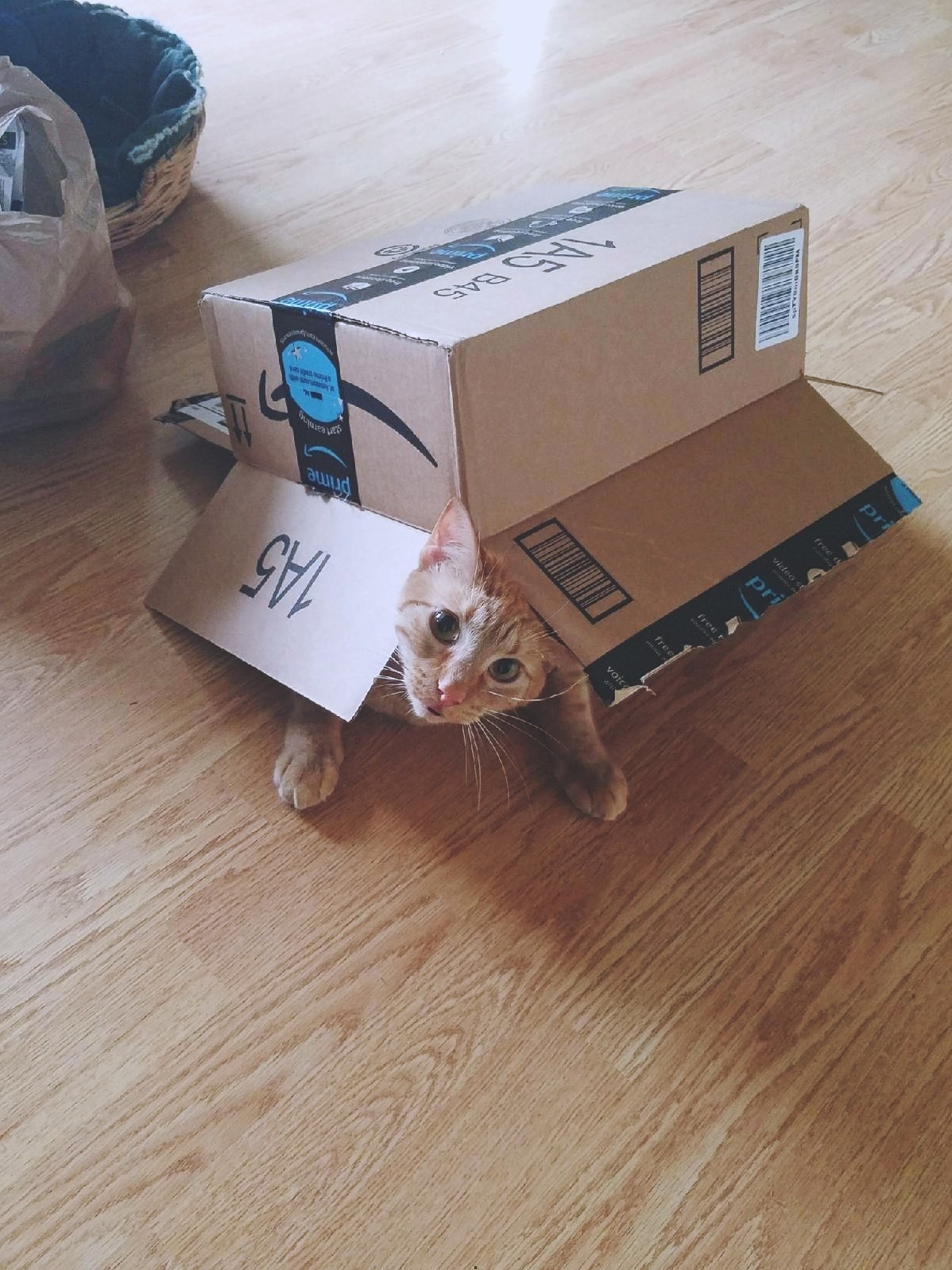 My Empty Box Was Quickly Claimed