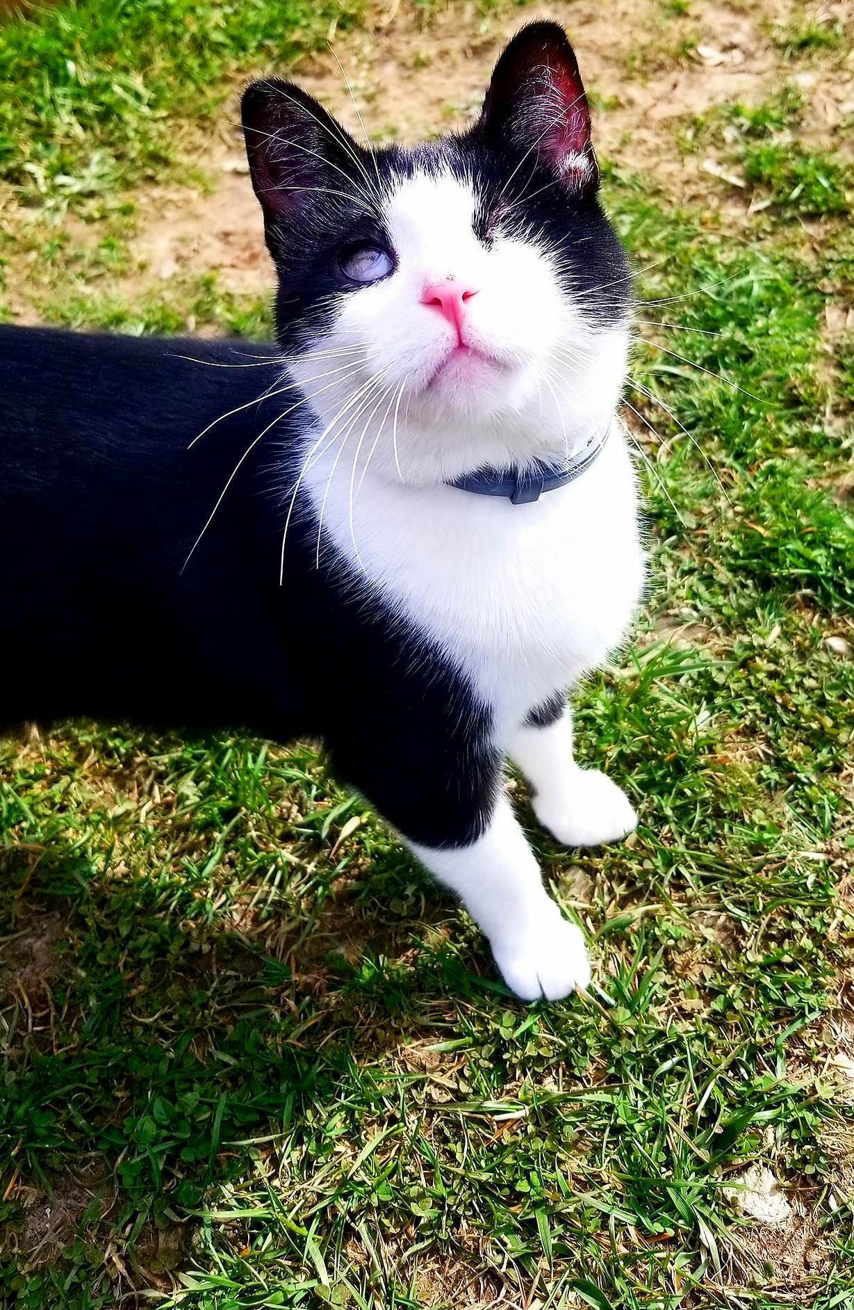 My One Eyed Girl!