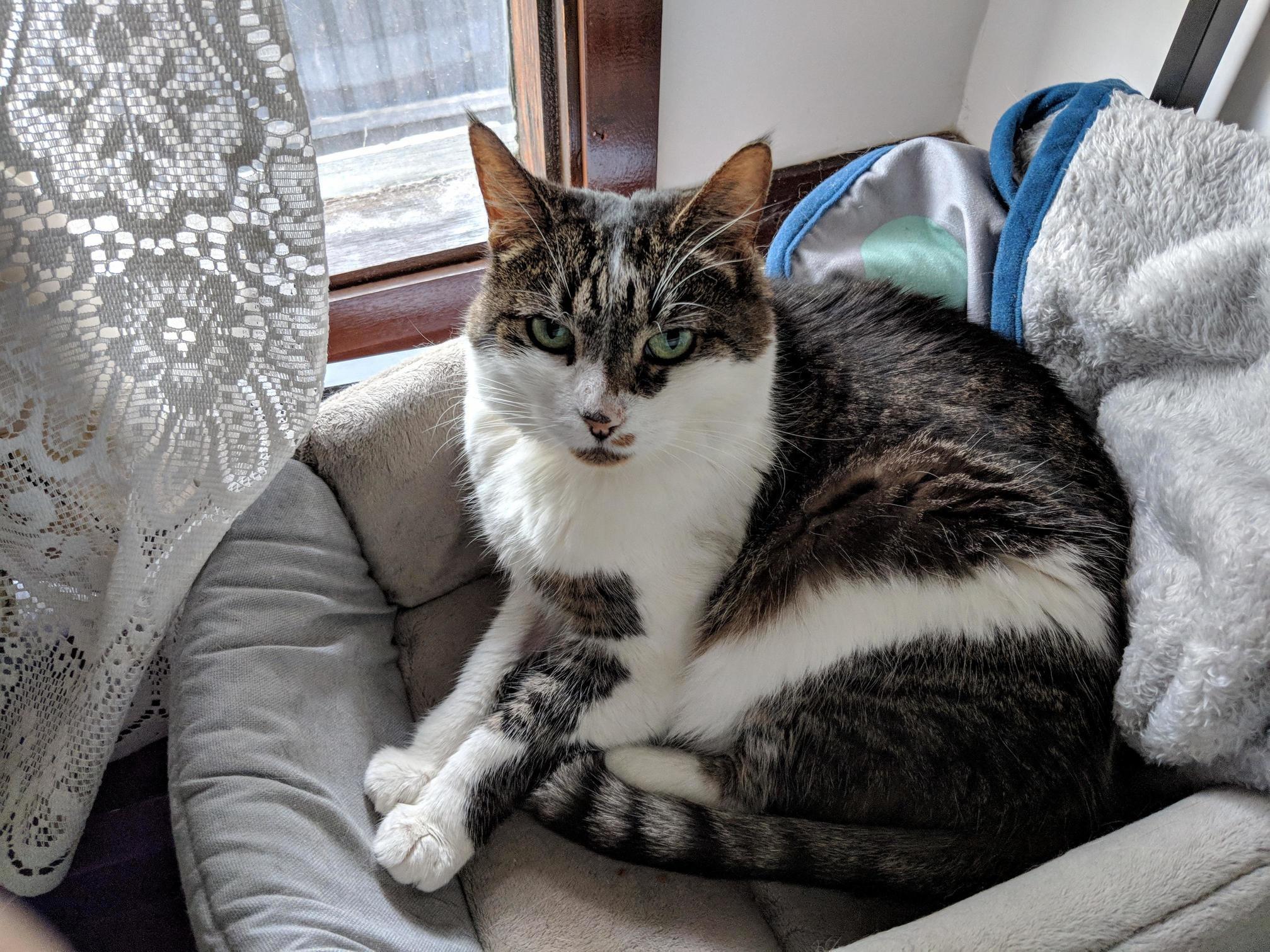 My Recently Adopted 12yo Senorita Summer )