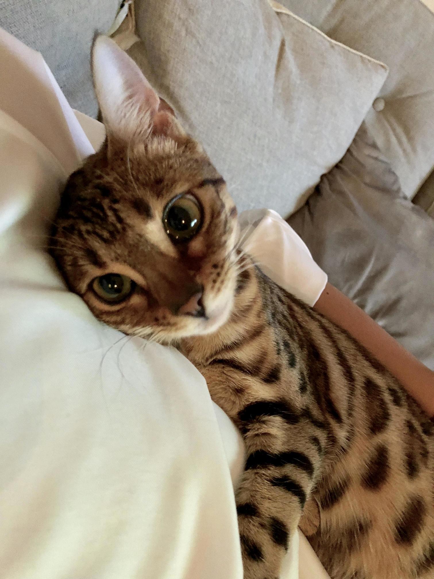 My Welcome Home Hug