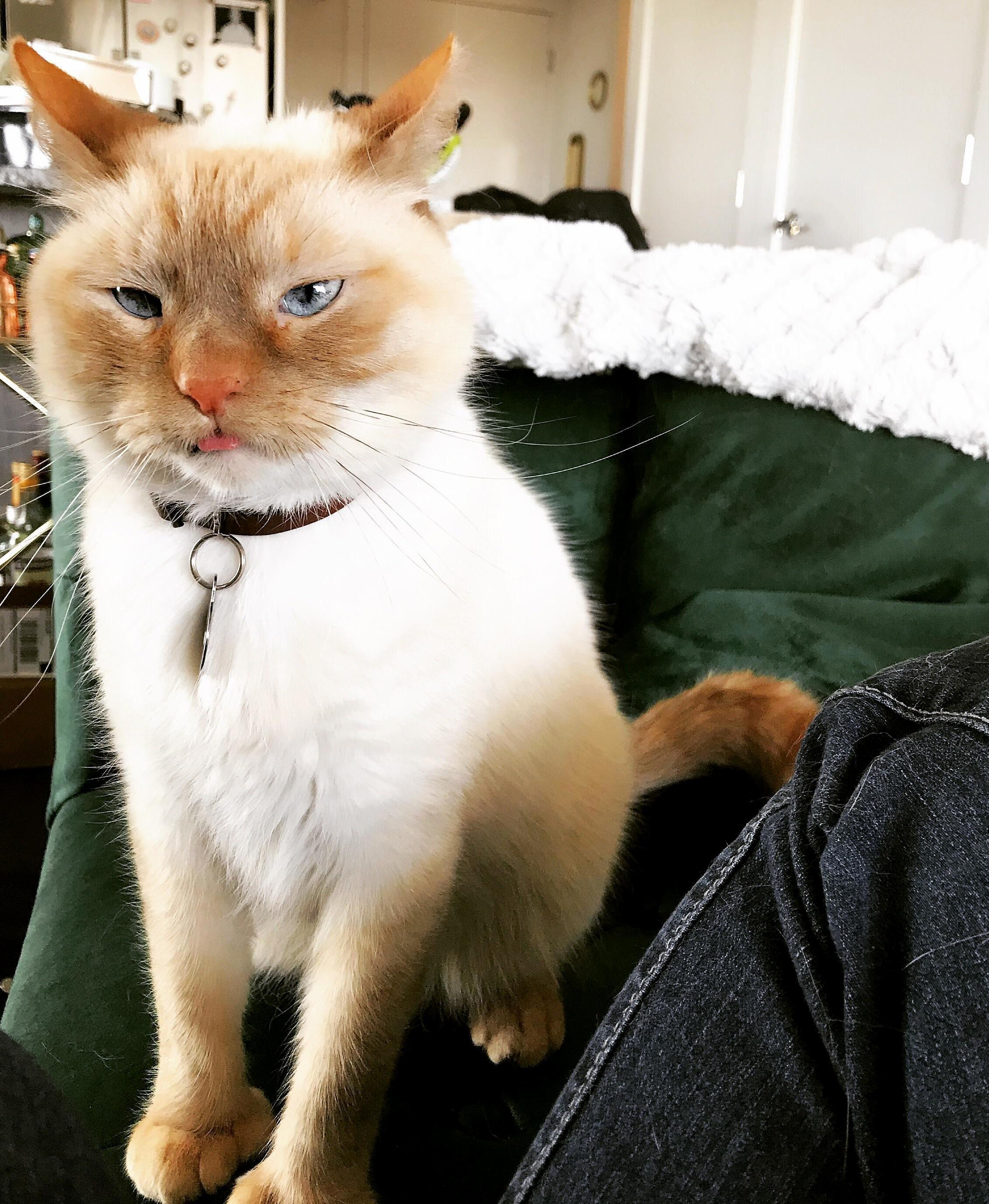 Not Happy to Be Woken Up This Morning