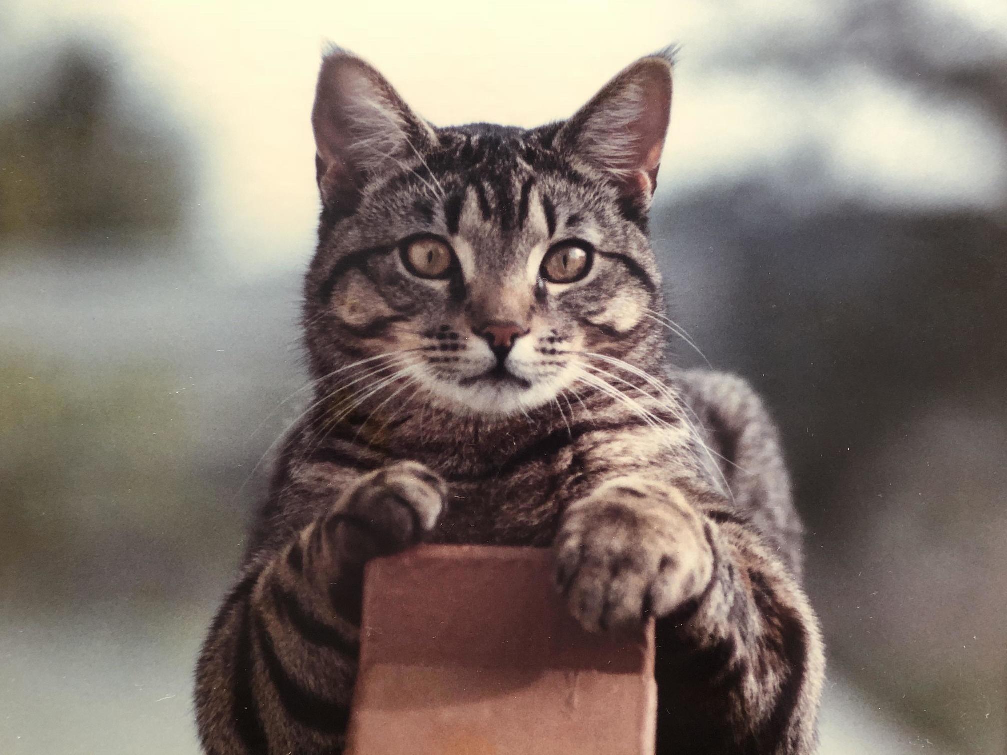 Oliver, This Picture Was Taken 30 Plus Years Ago.