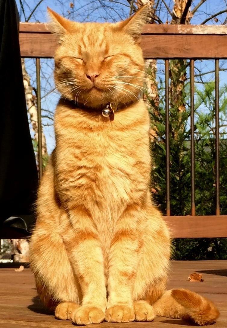 Oscar the Inscrutable
