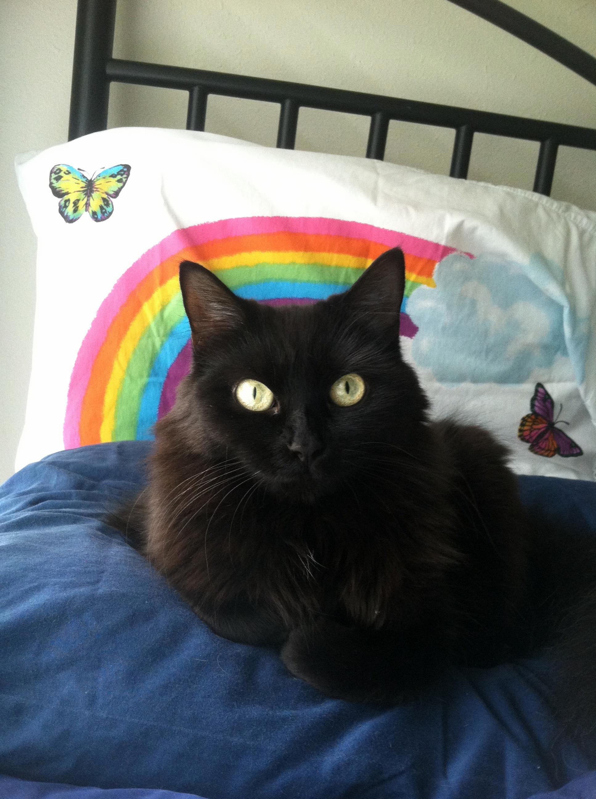 Over the Rainbow