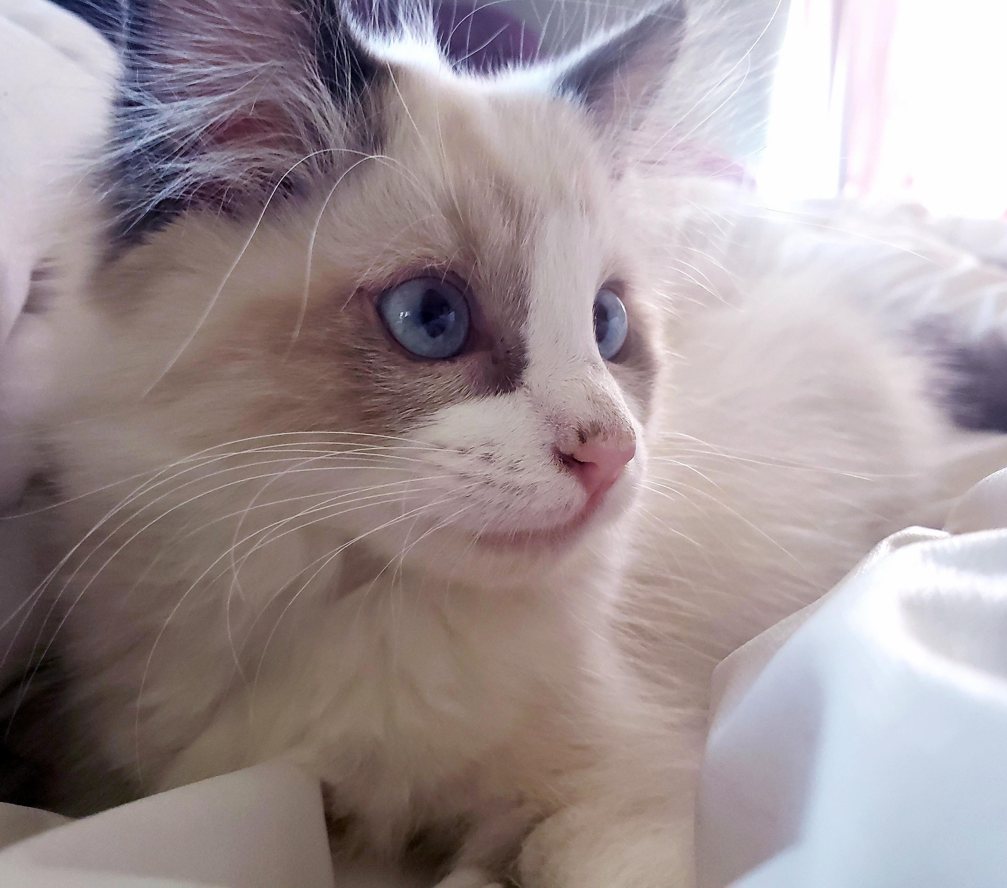 Picked Her Up Last Saturday...still Havent Thought of the Perfect Name. Whats Wrong with Me!
