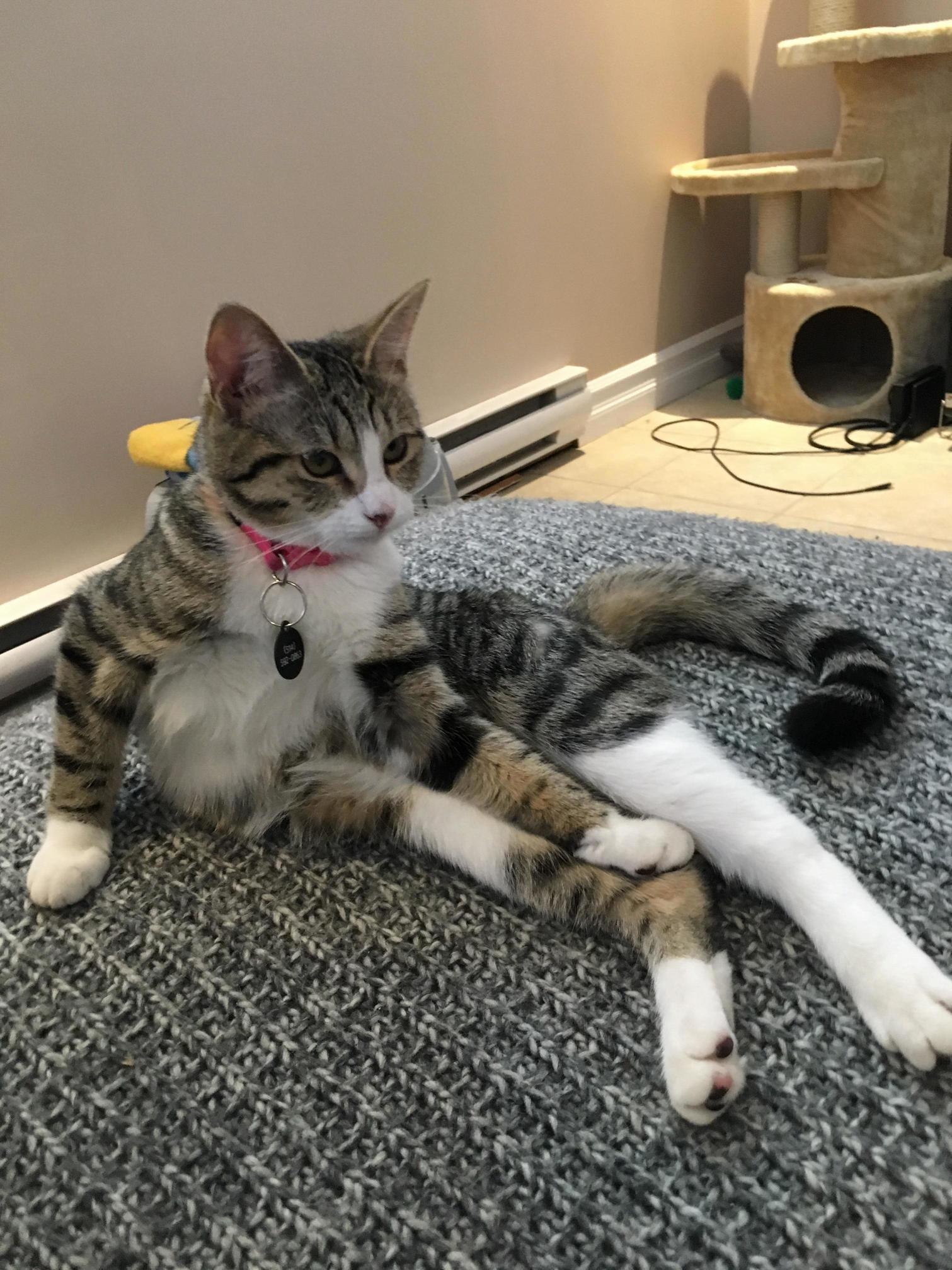 Posing Like a Movie Star