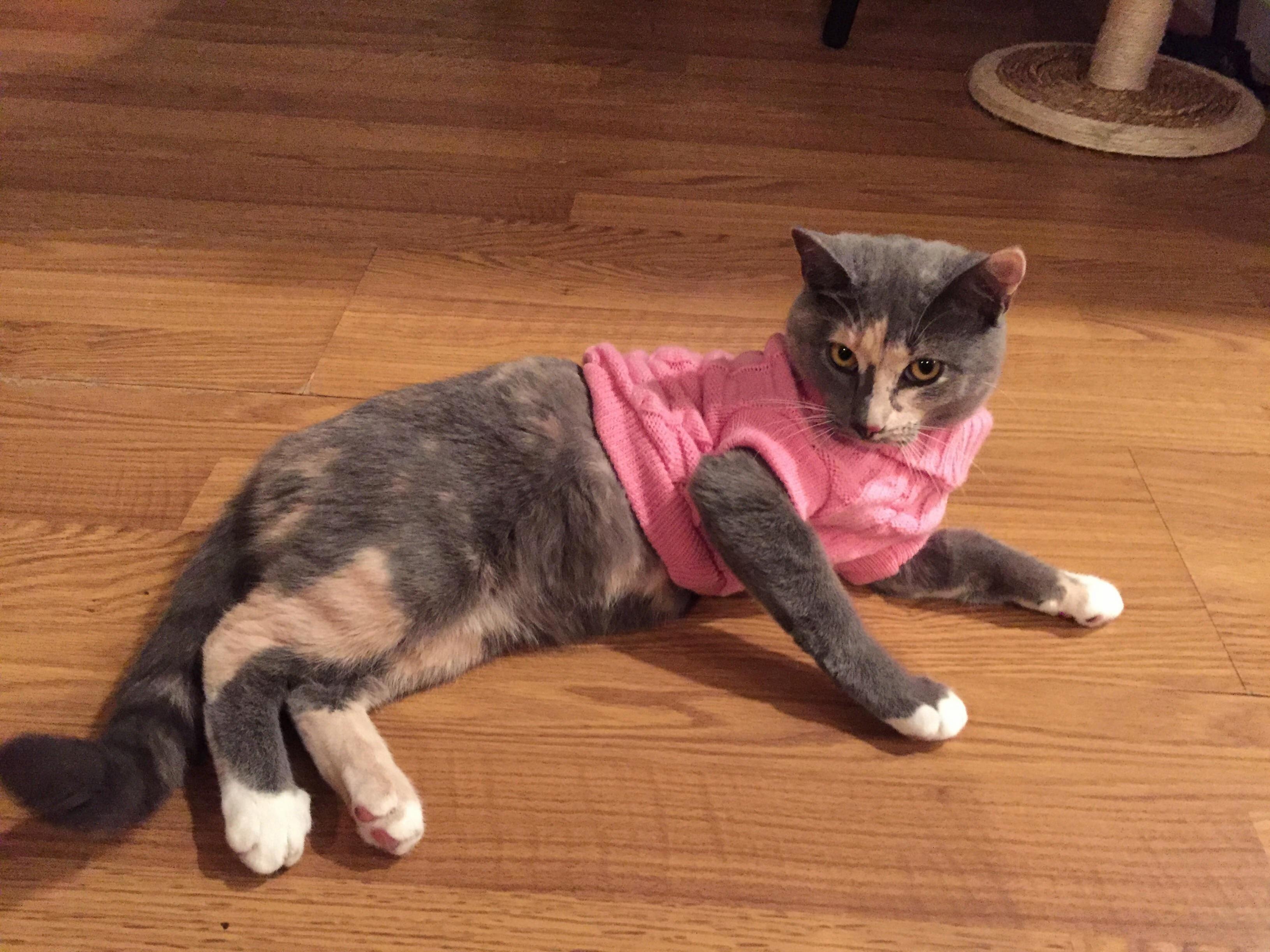 Pretty in Pink