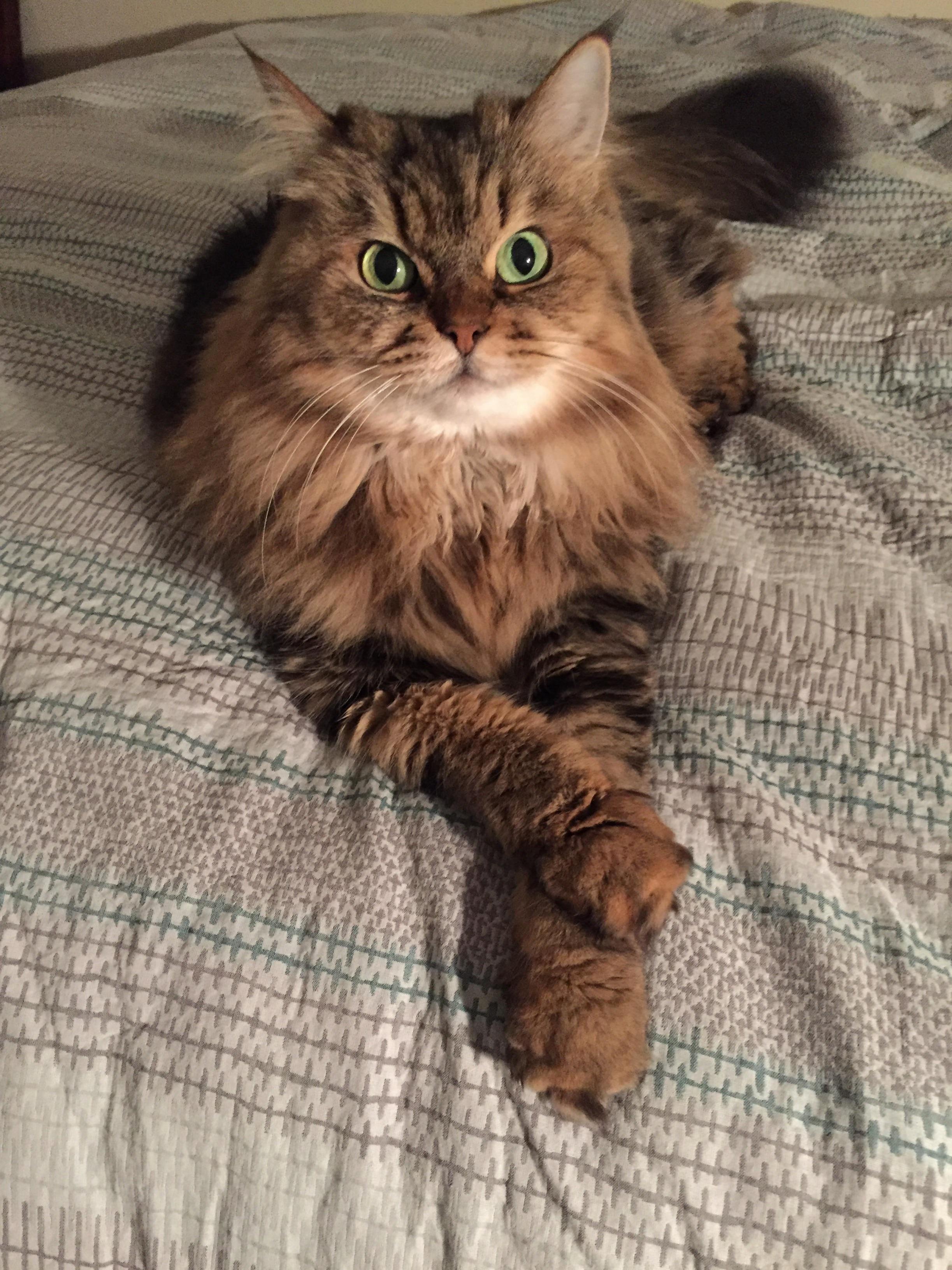 Reddit, Meet Jameela