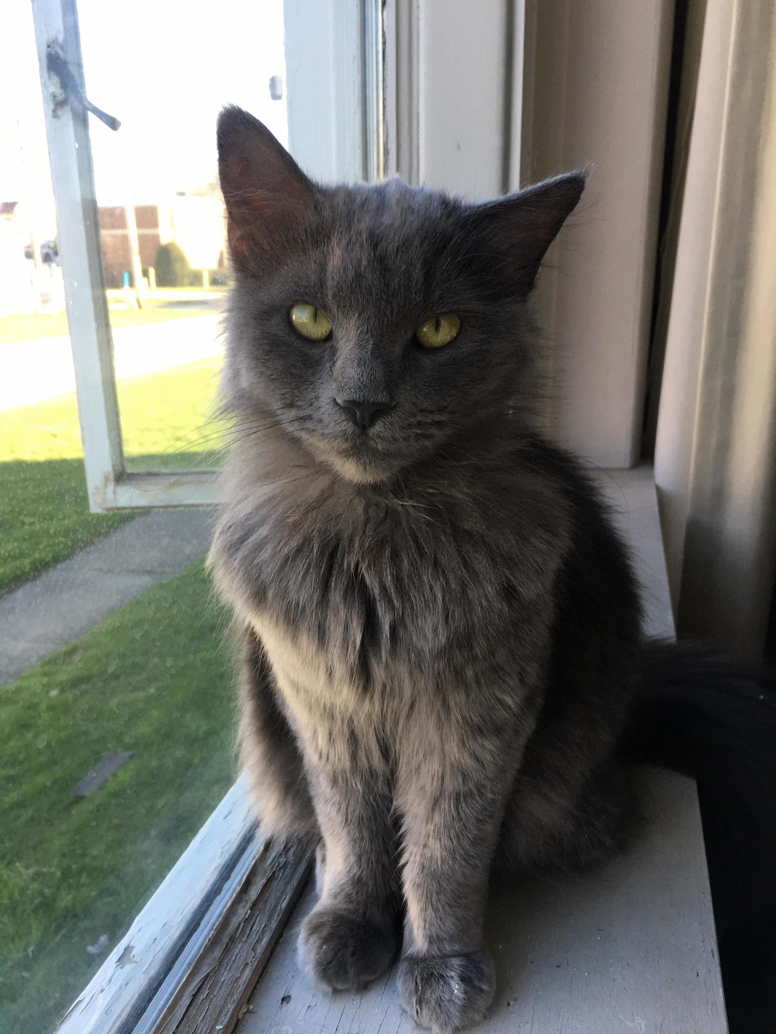 Rescued This Girl About a Month Ago, Shes Been My Bestie Ever Since!