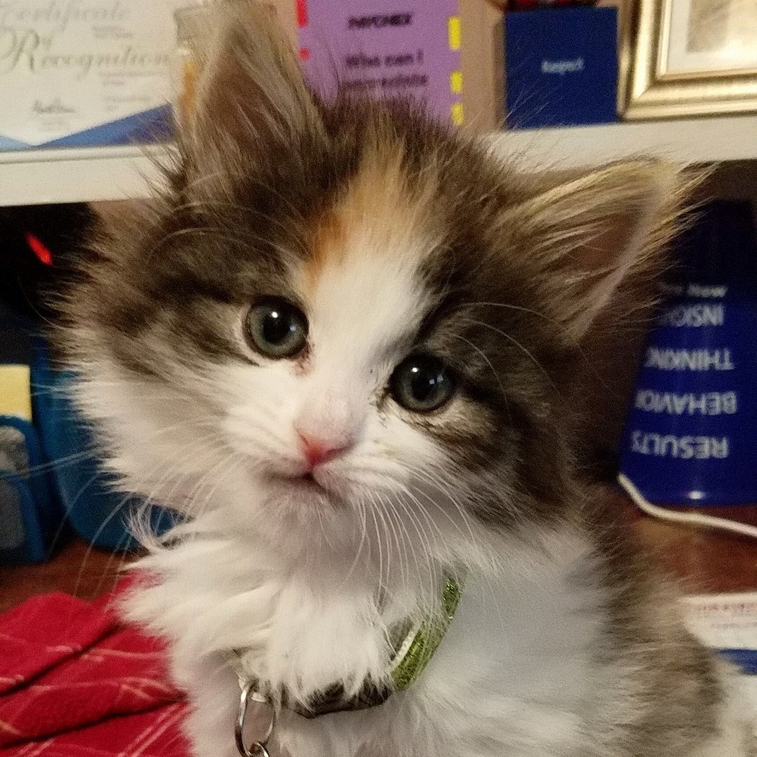 Seriously, Who Can Resist This Face