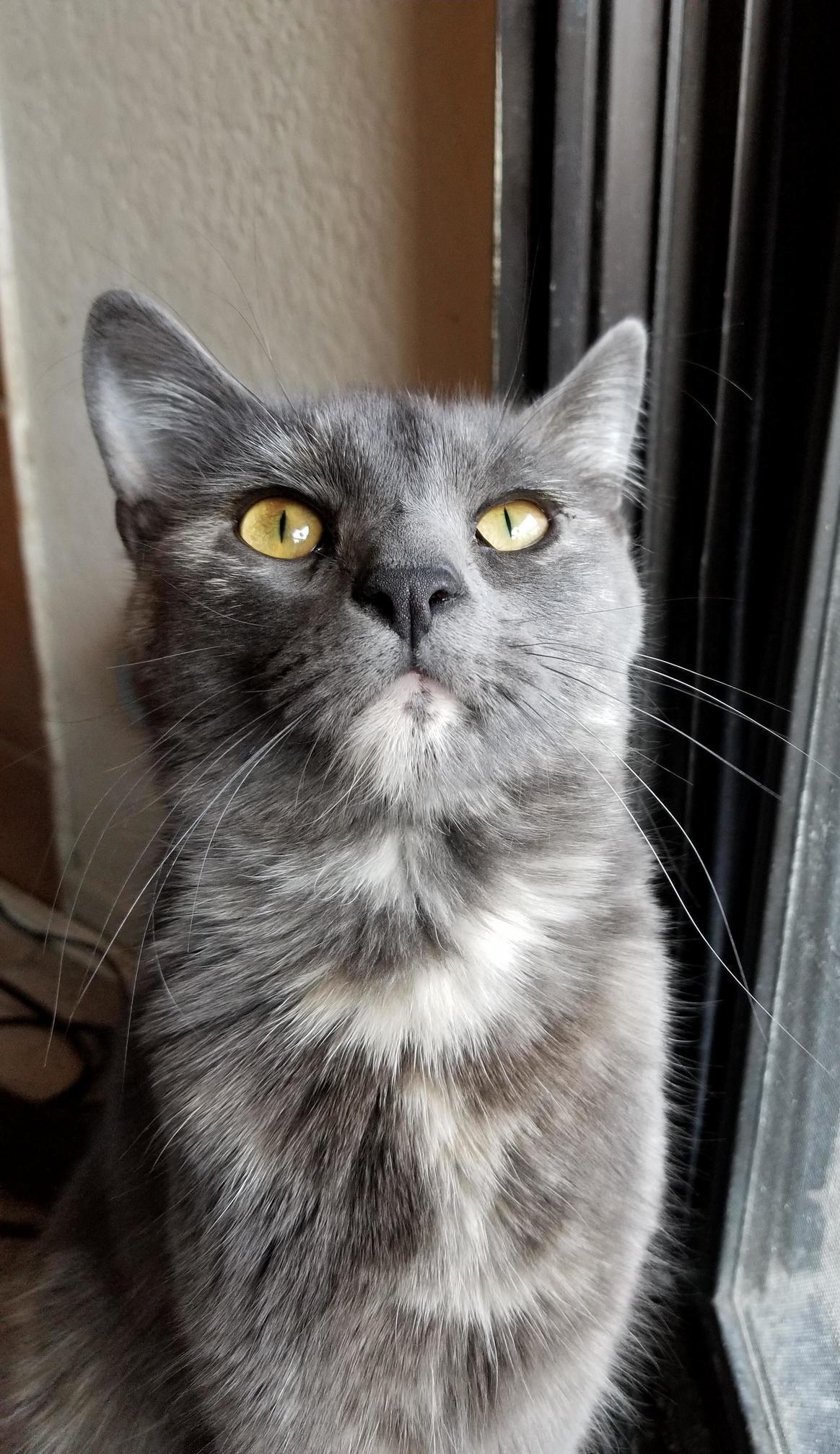 She Can Be a Mean Little Butt Sometimes, but My Goodness Do We Love Her!
