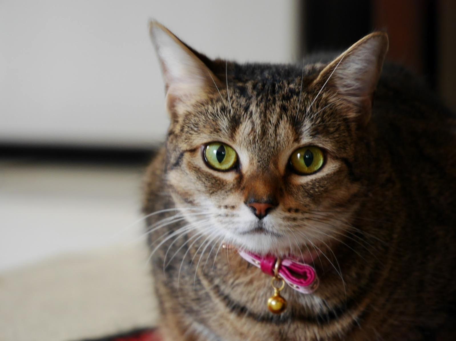She Knows All, She Can See Into Your Soul