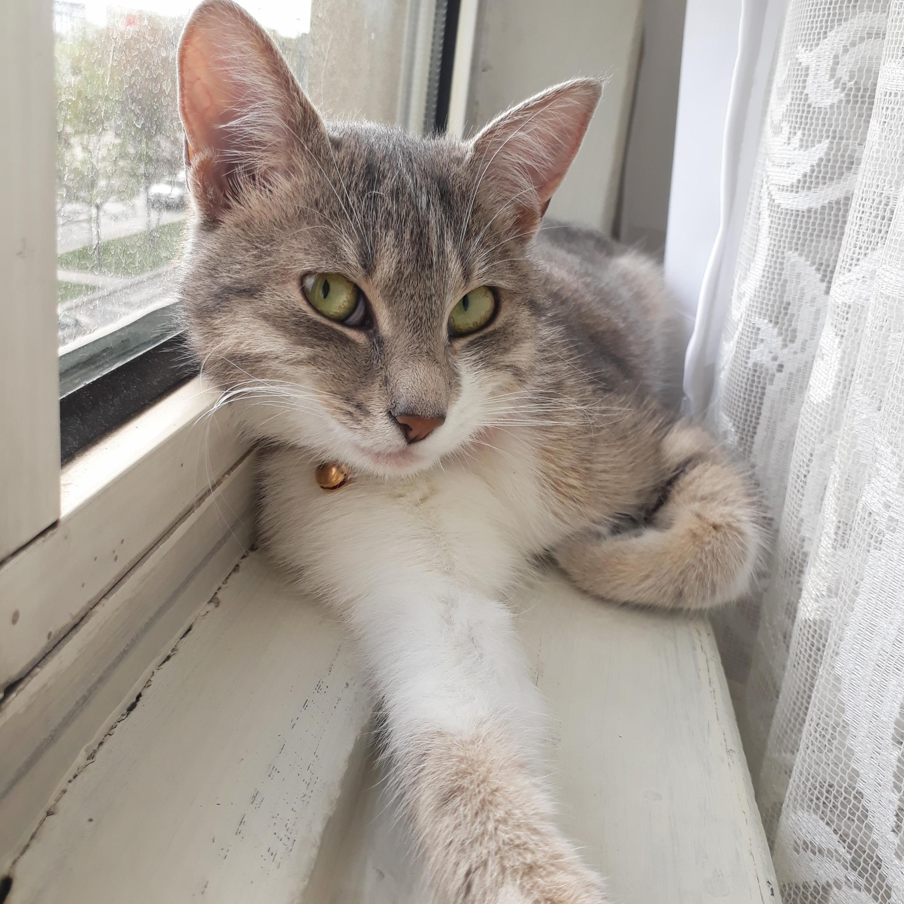 She Likes This Place!