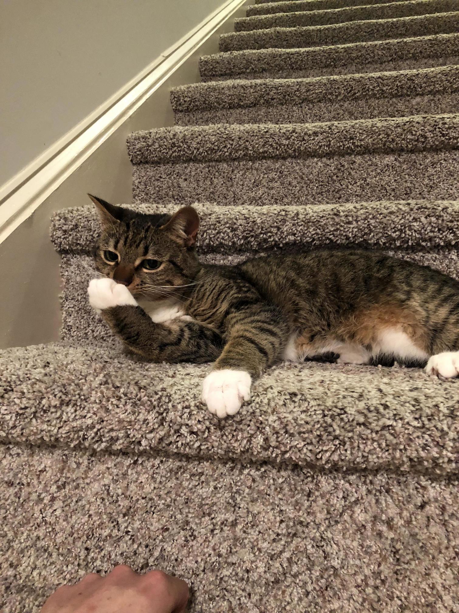 She Looks Embarrassed. Poor Girl.
