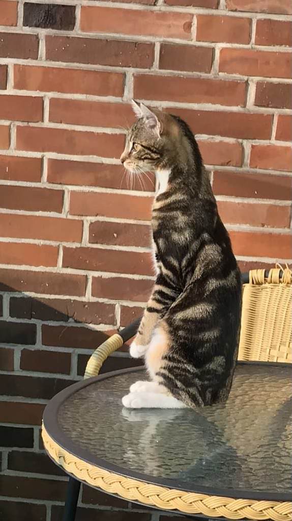She Saw a Bird for the First Time